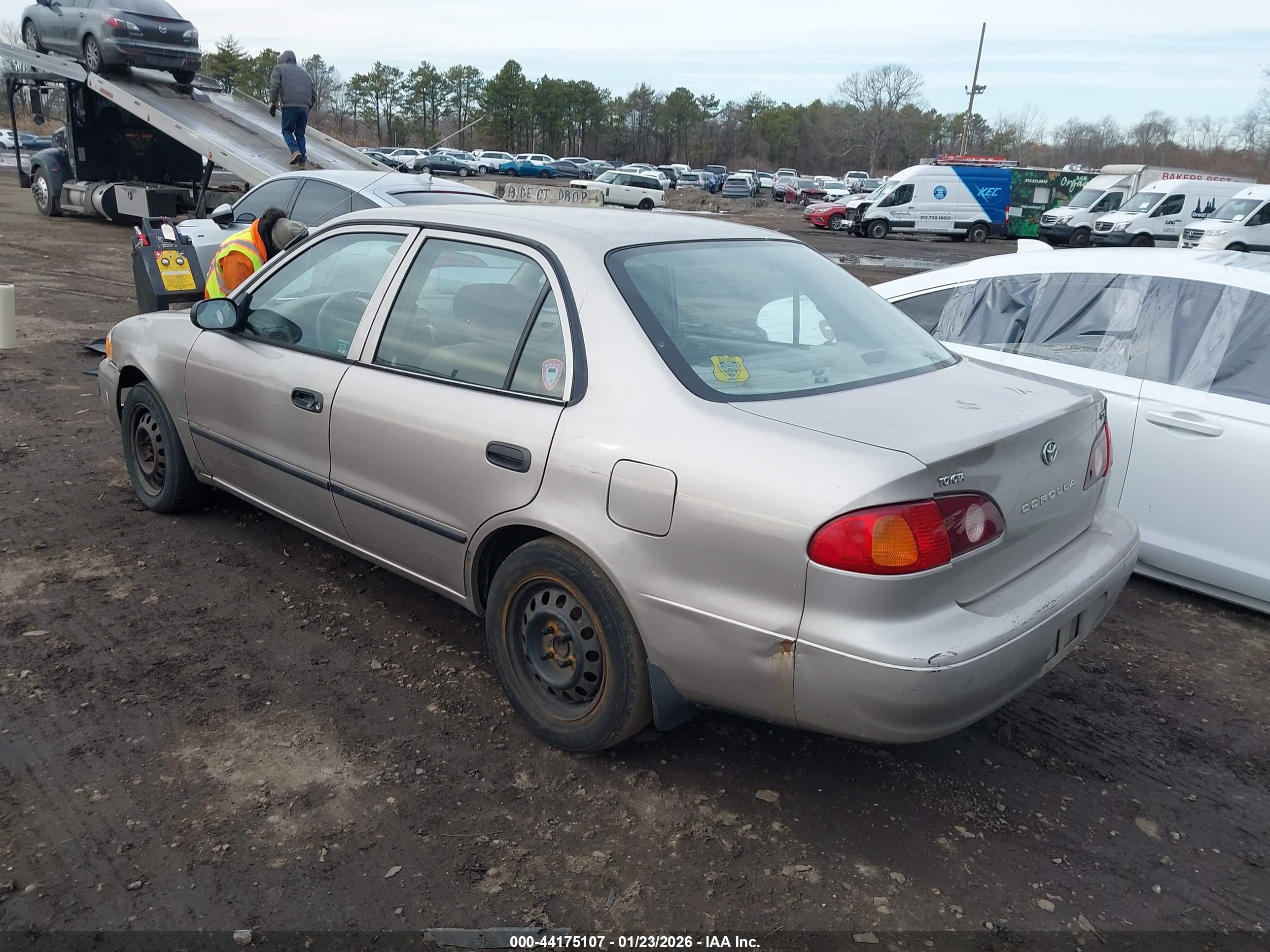 TOYOTA COROLLA image 3