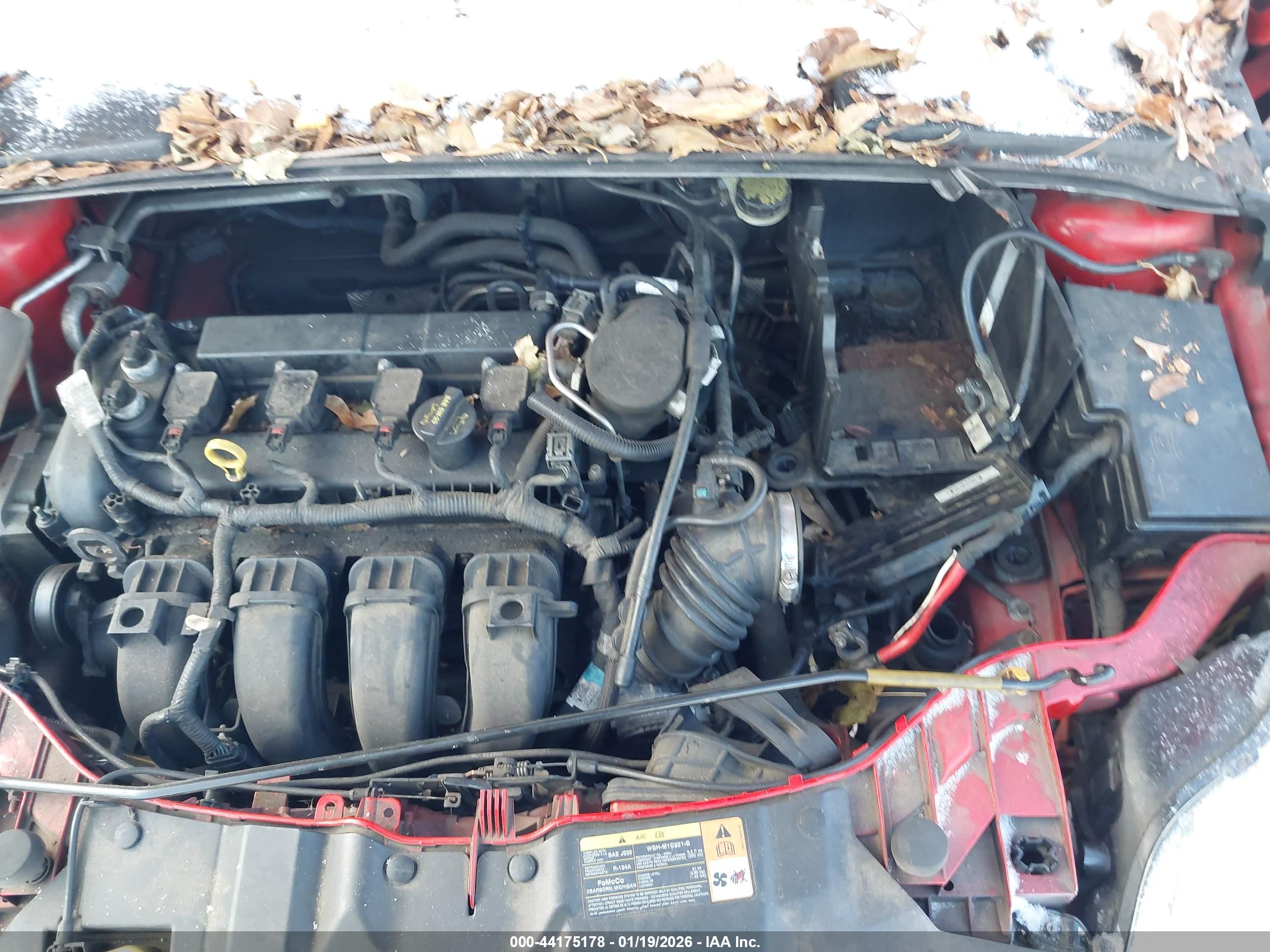 FORD FOCUS image 10