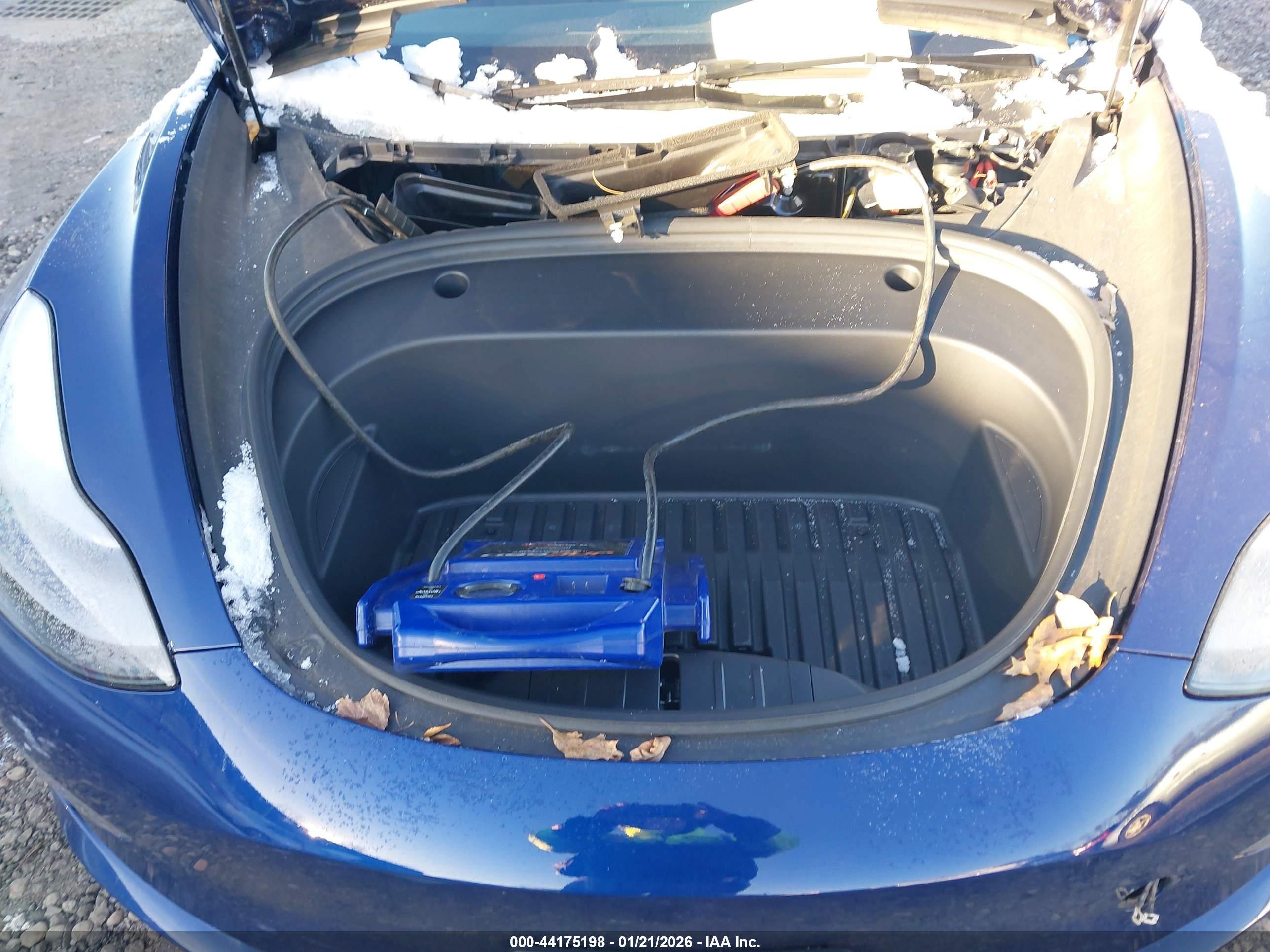 TESLA MODEL image 10
