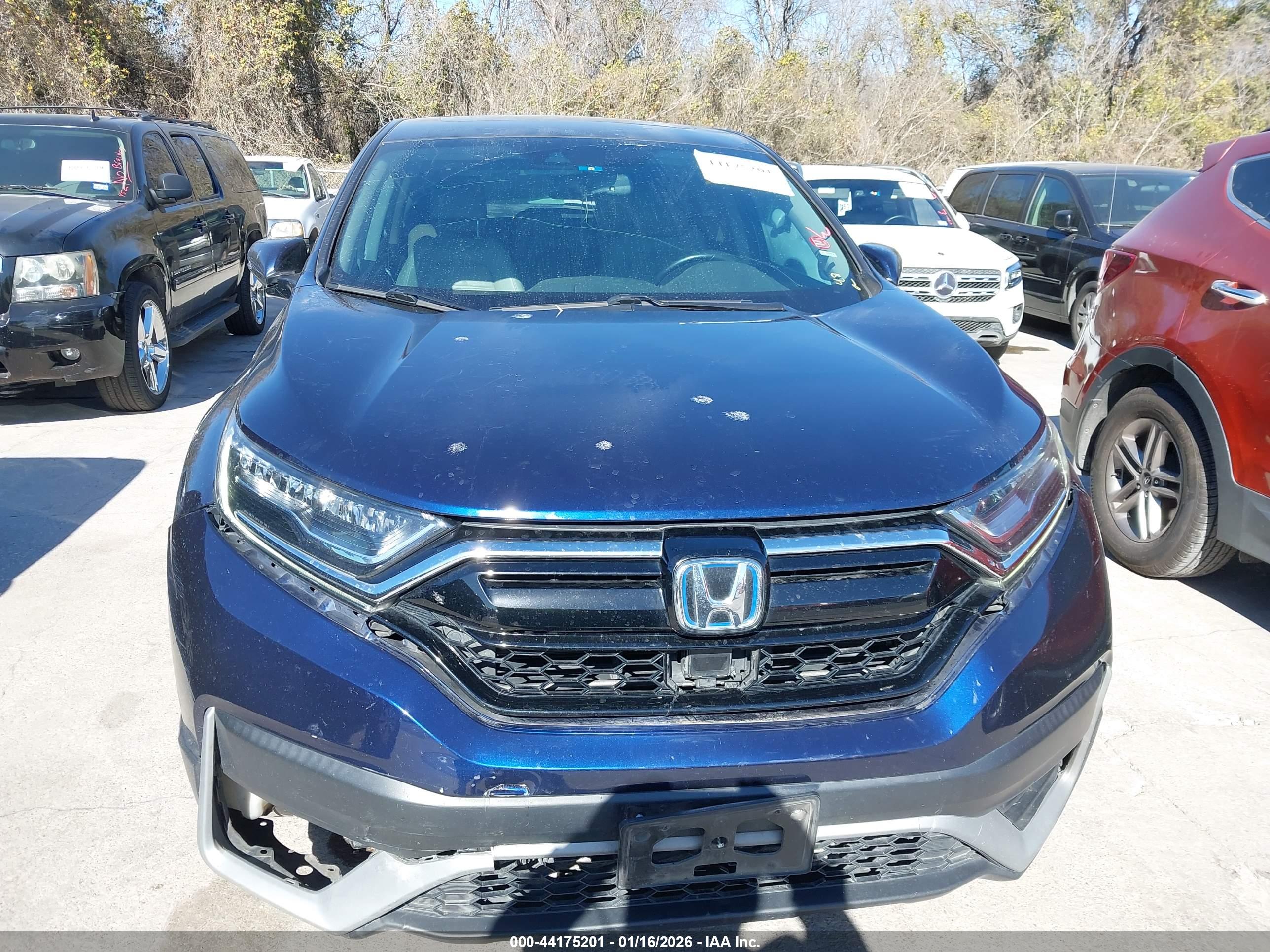 HONDA CR-V image 6