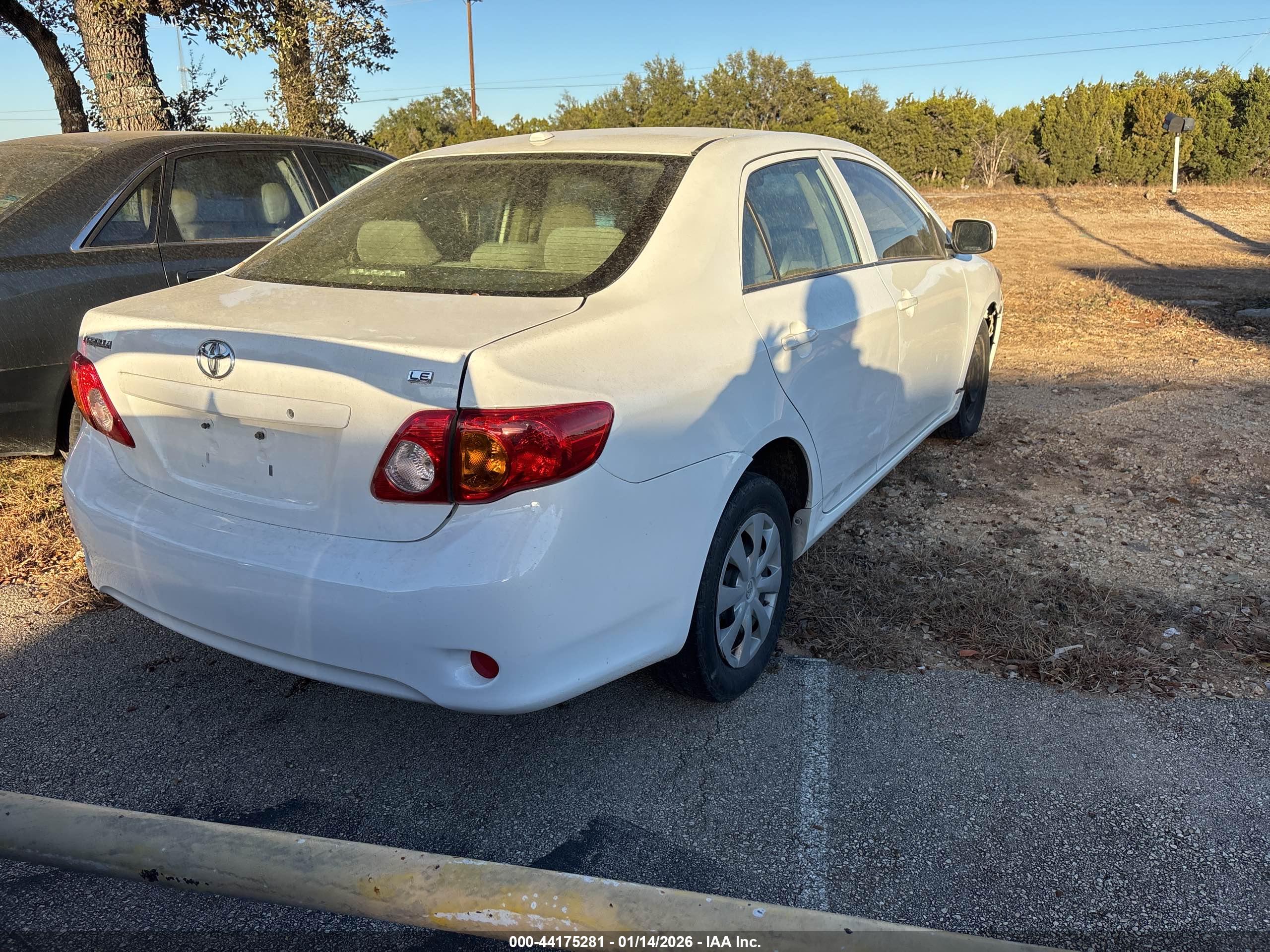TOYOTA COROLLA image 4