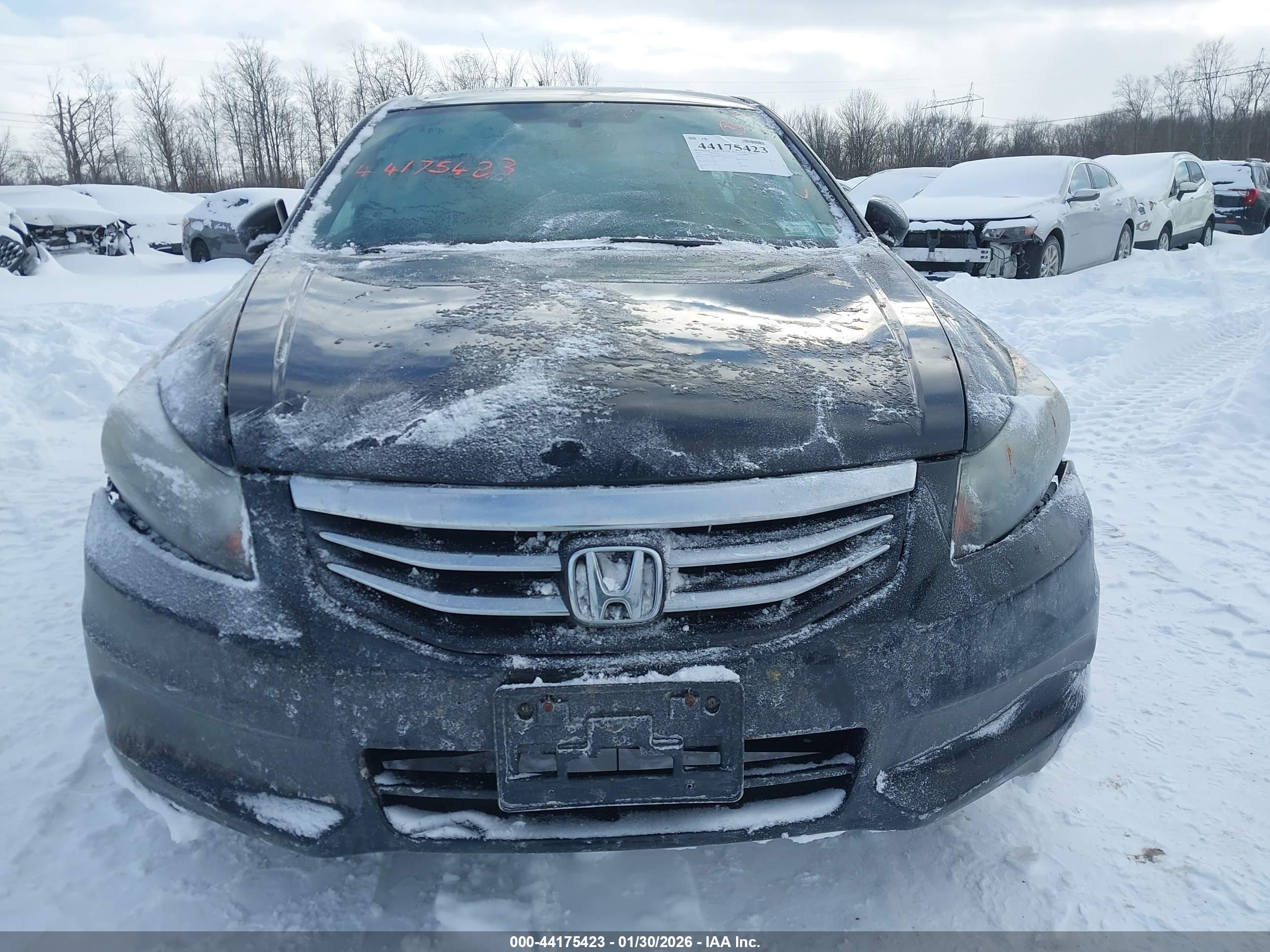 HONDA ACCORD image 6