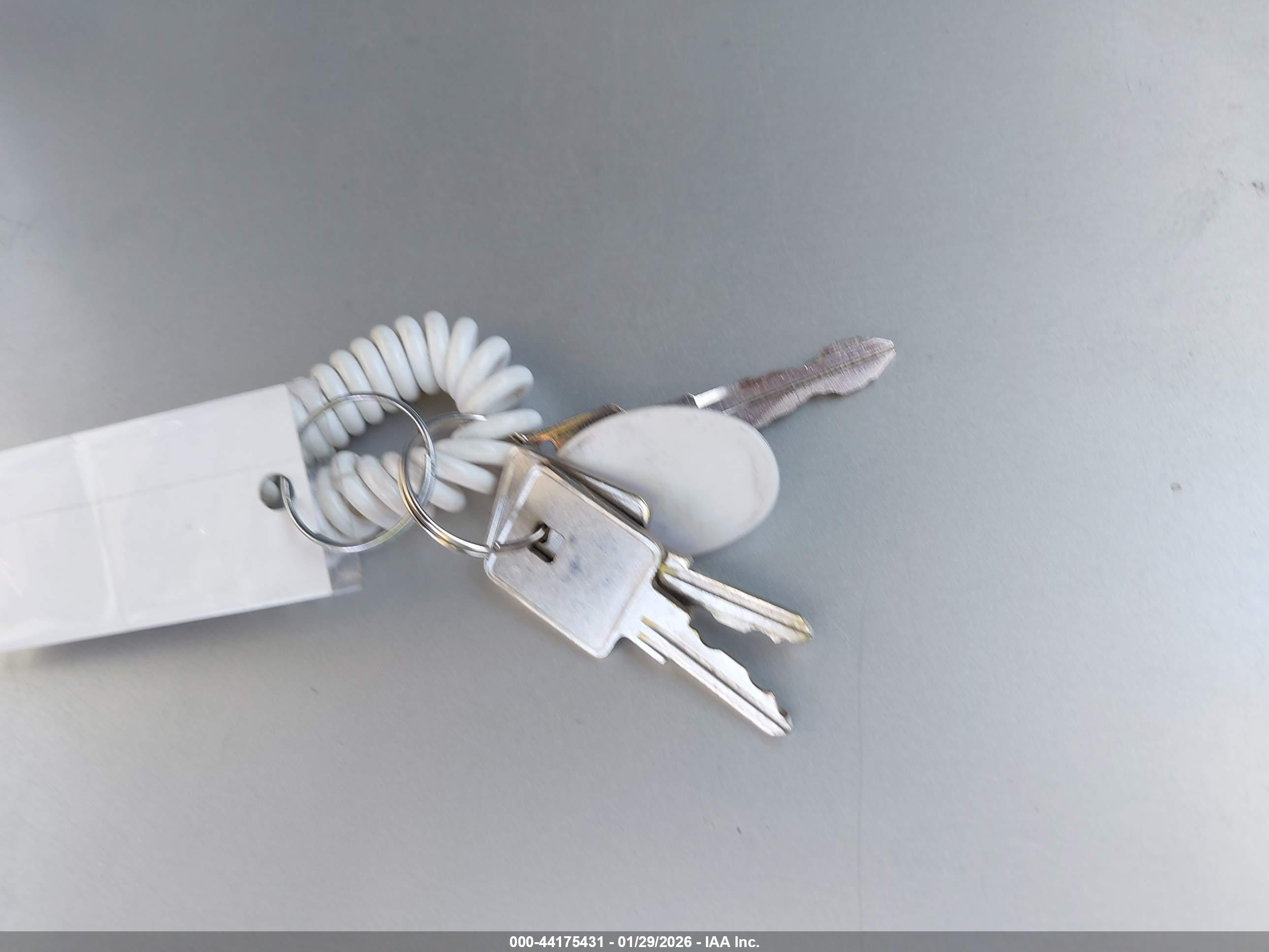 WORKHORSE CUSTOM image 11