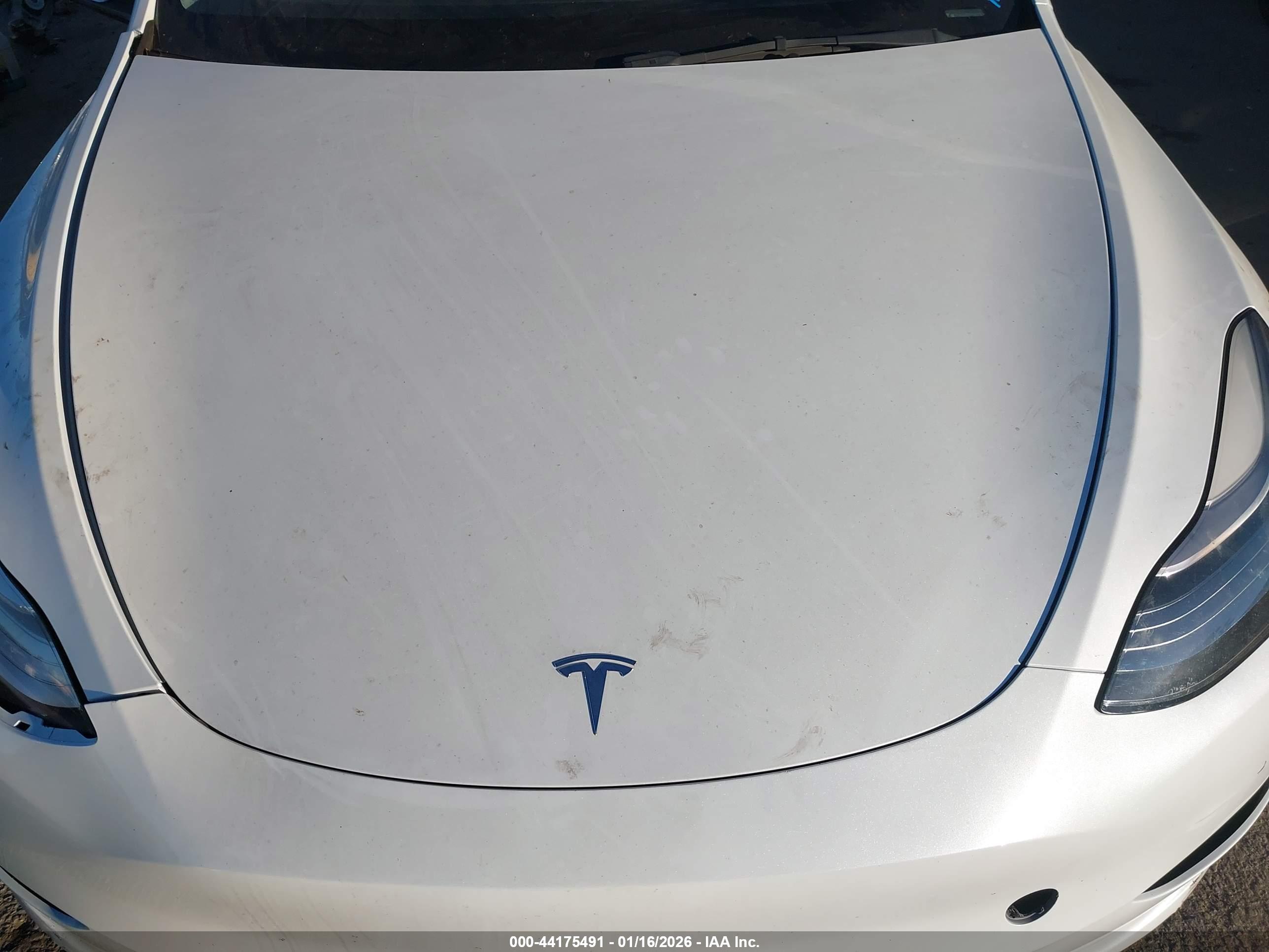 TESLA MODEL image 10