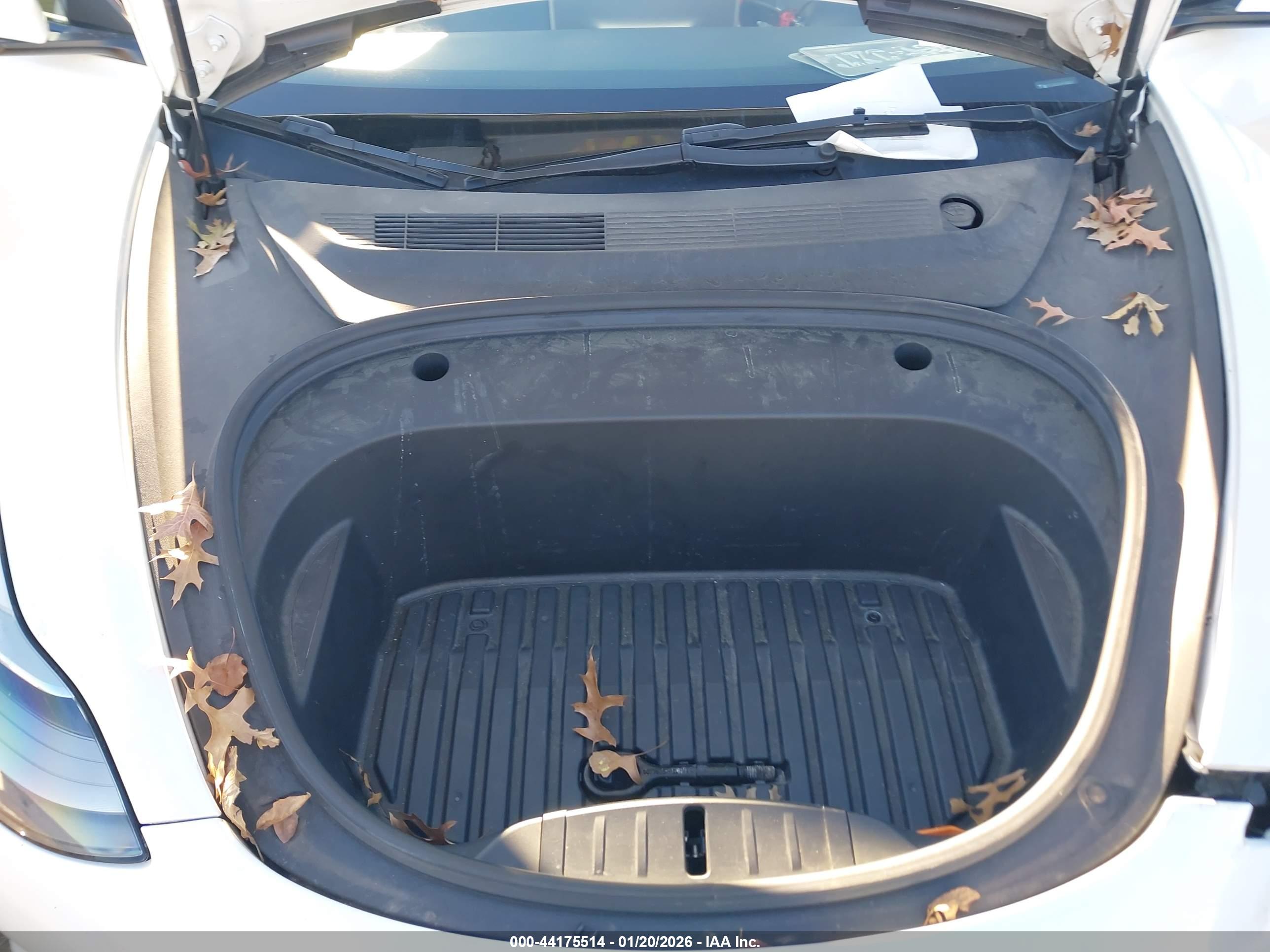 TESLA MODEL image 10