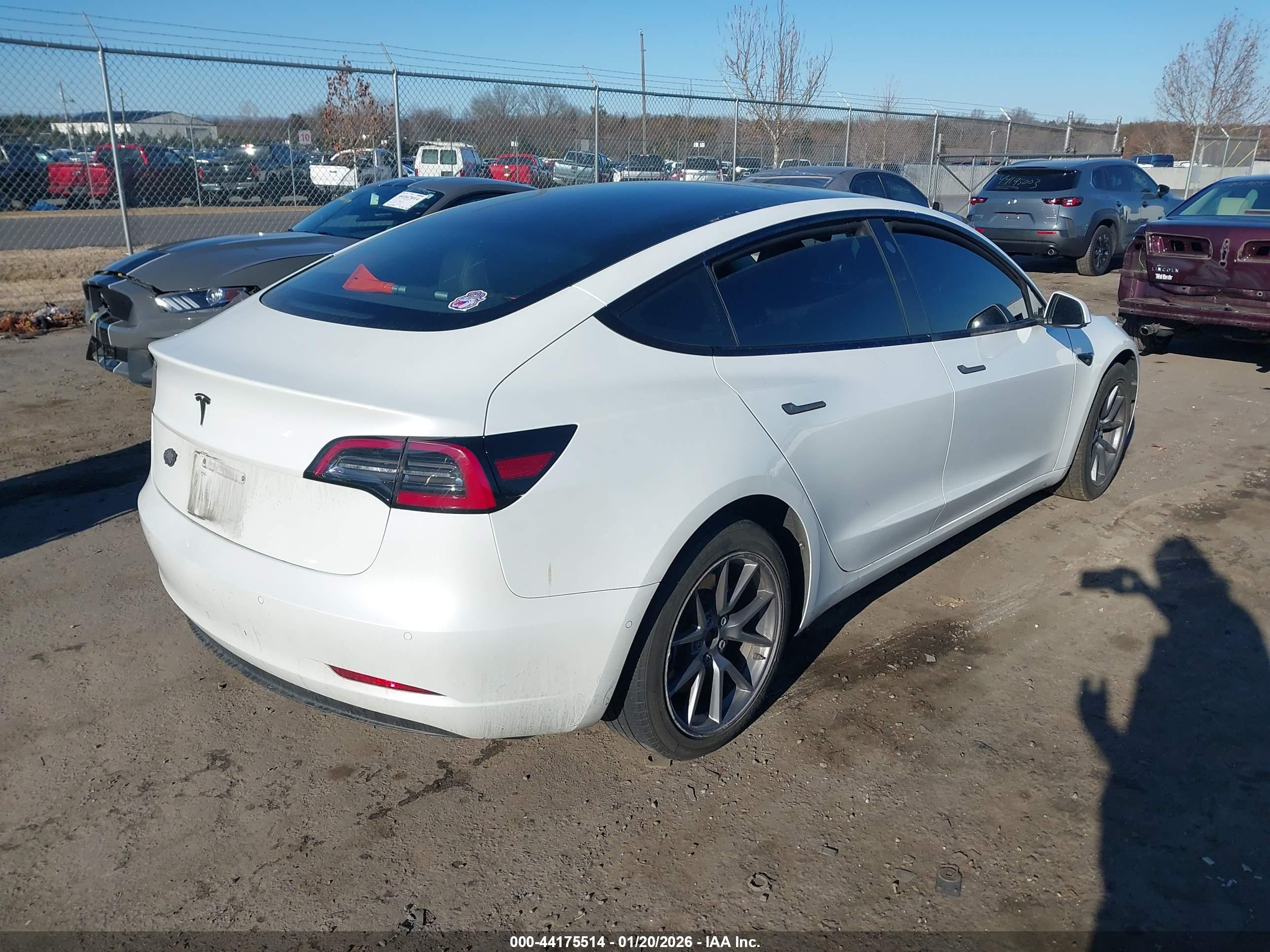 TESLA MODEL image 4