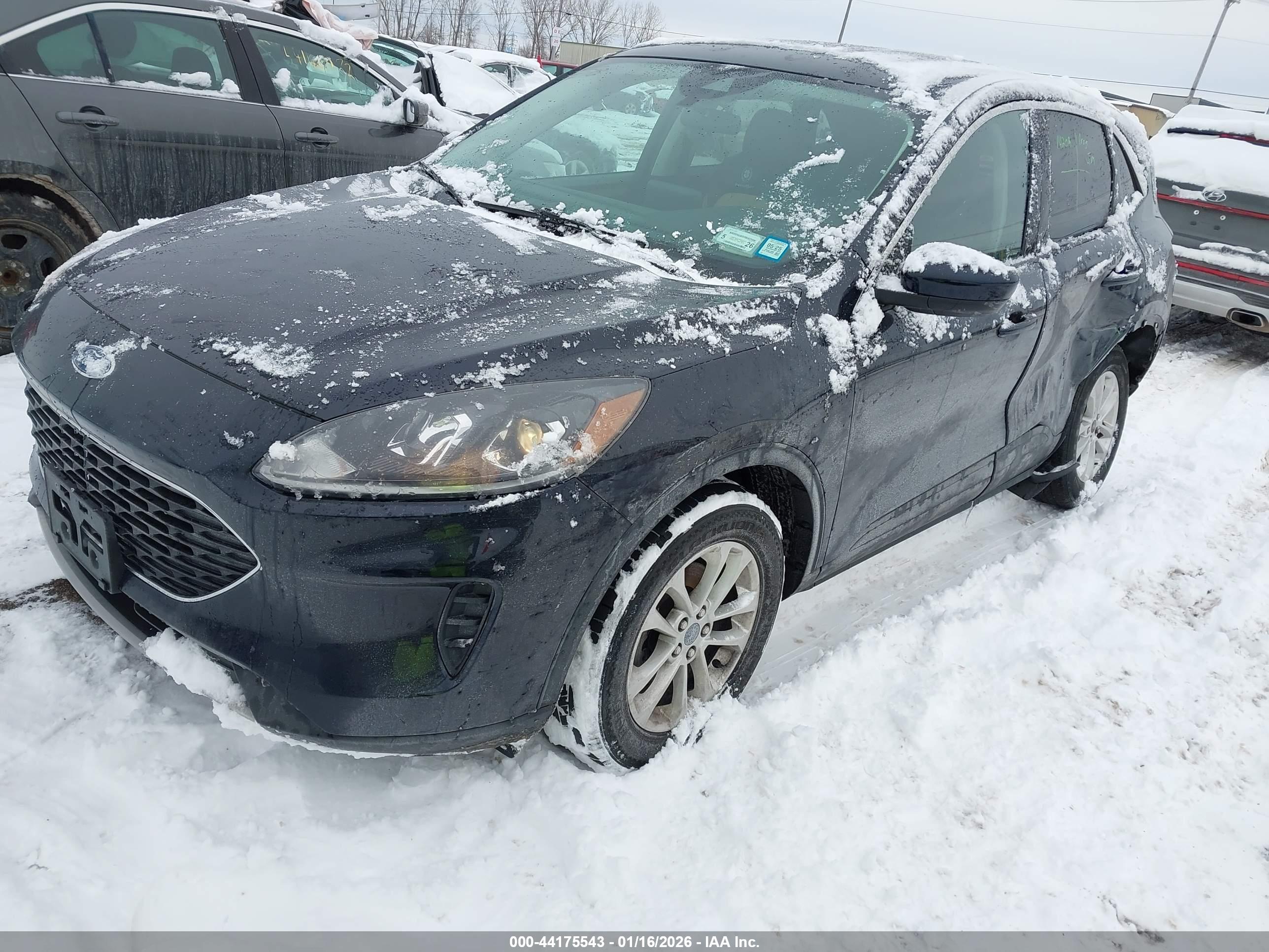 FORD ESCAPE image 2