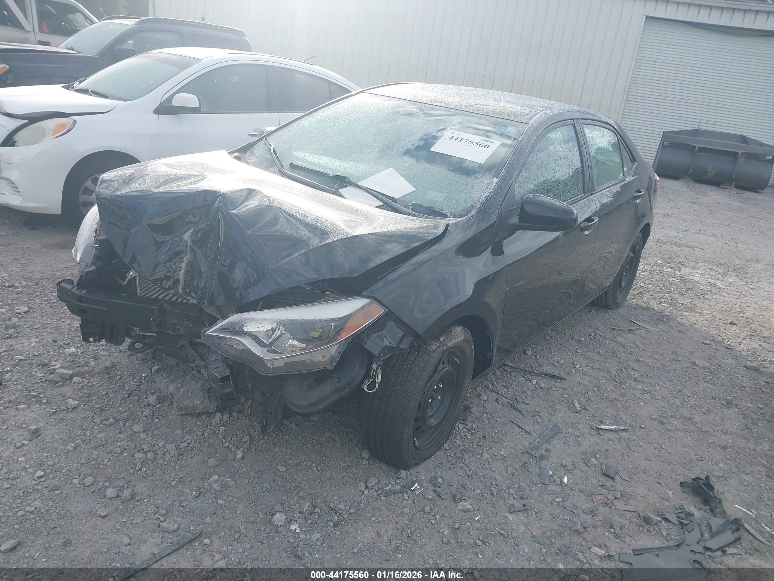 TOYOTA COROLLA image 2