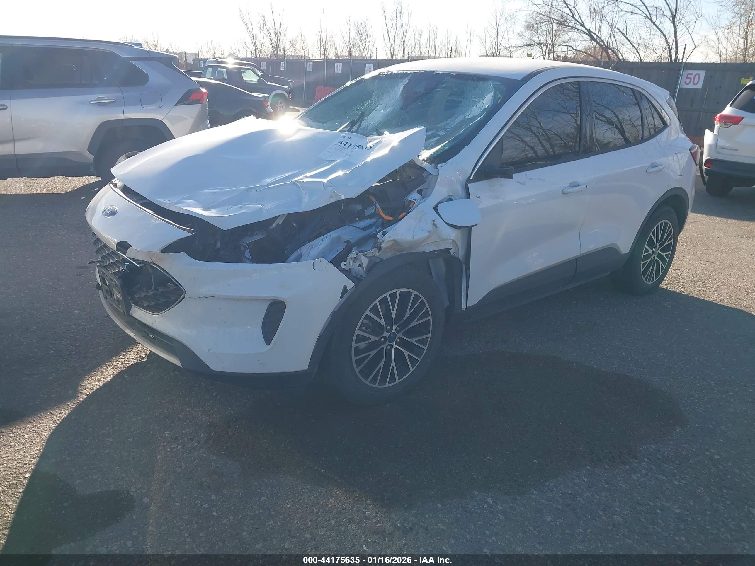 FORD ESCAPE image 2