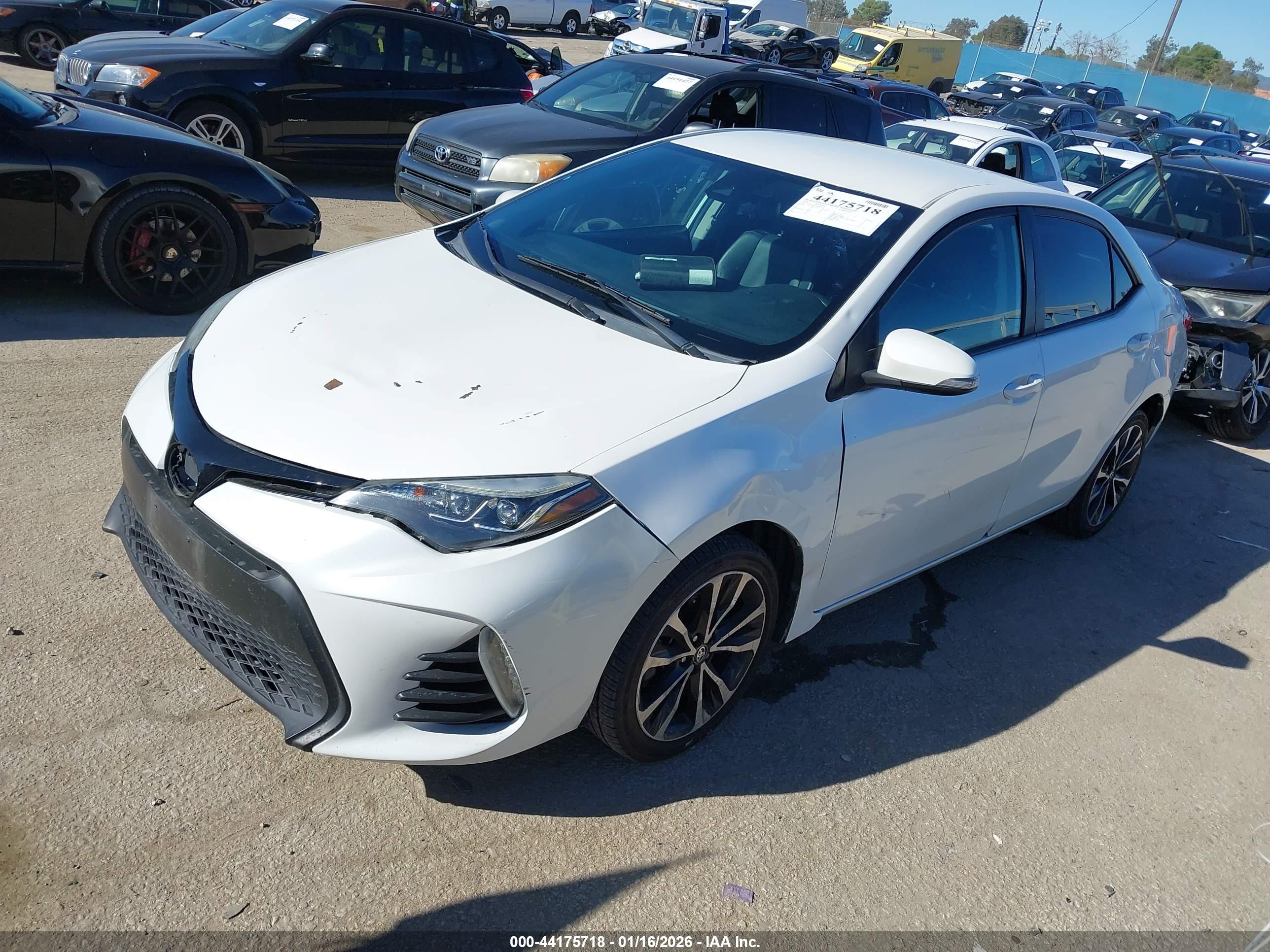 TOYOTA COROLLA image 2