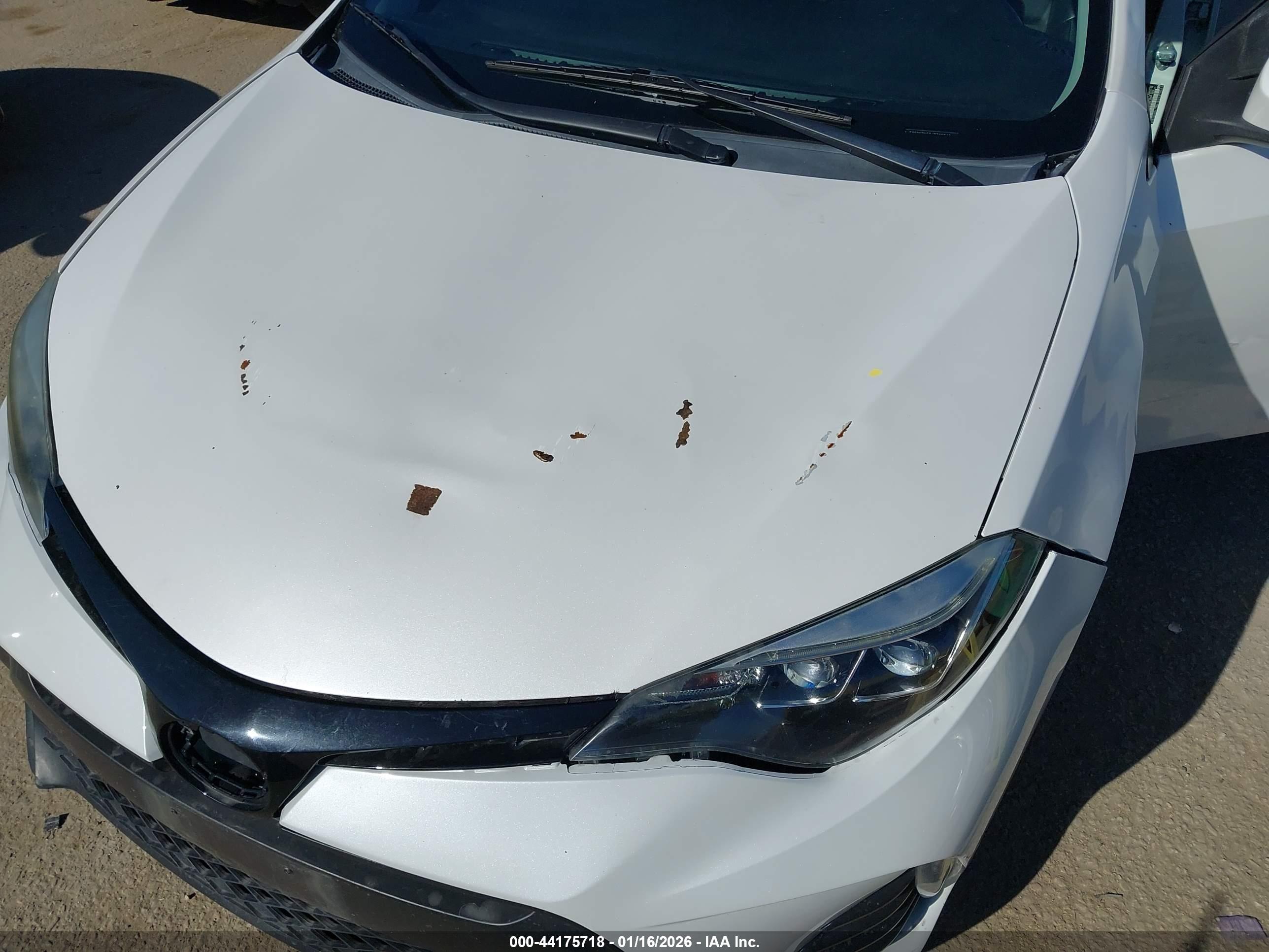 TOYOTA COROLLA image 6