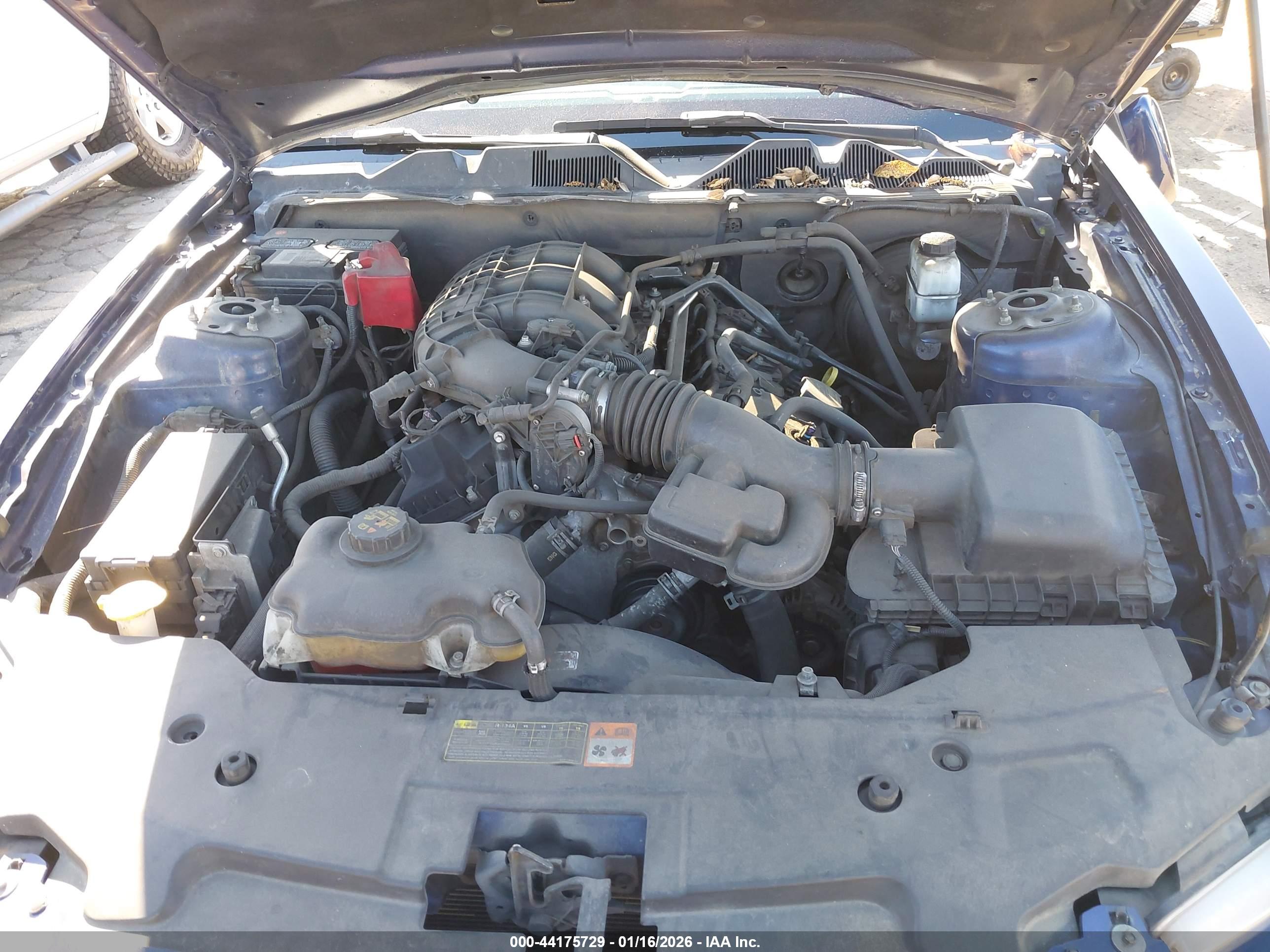 FORD MUSTANG image 10