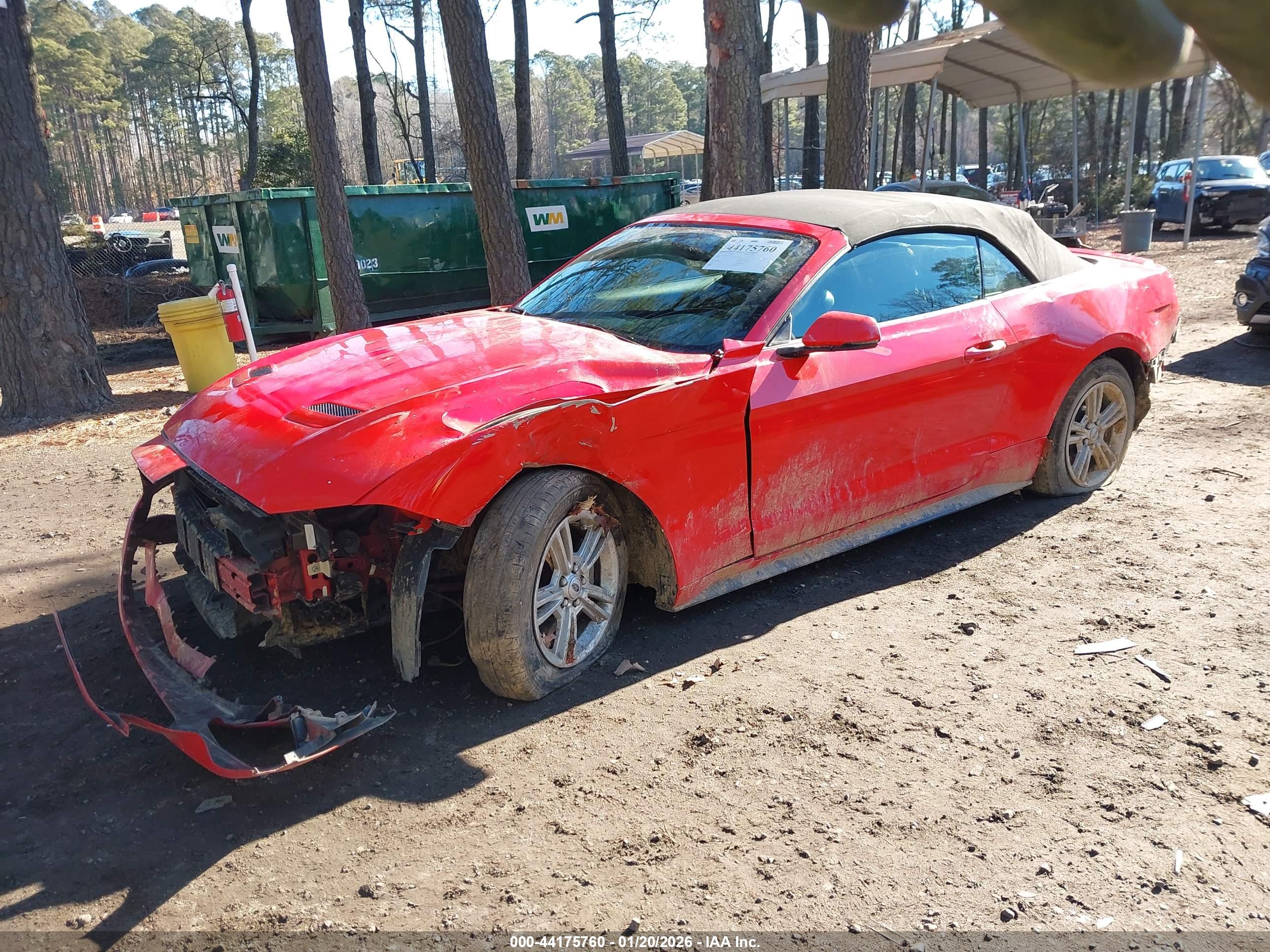 FORD MUSTANG image 2