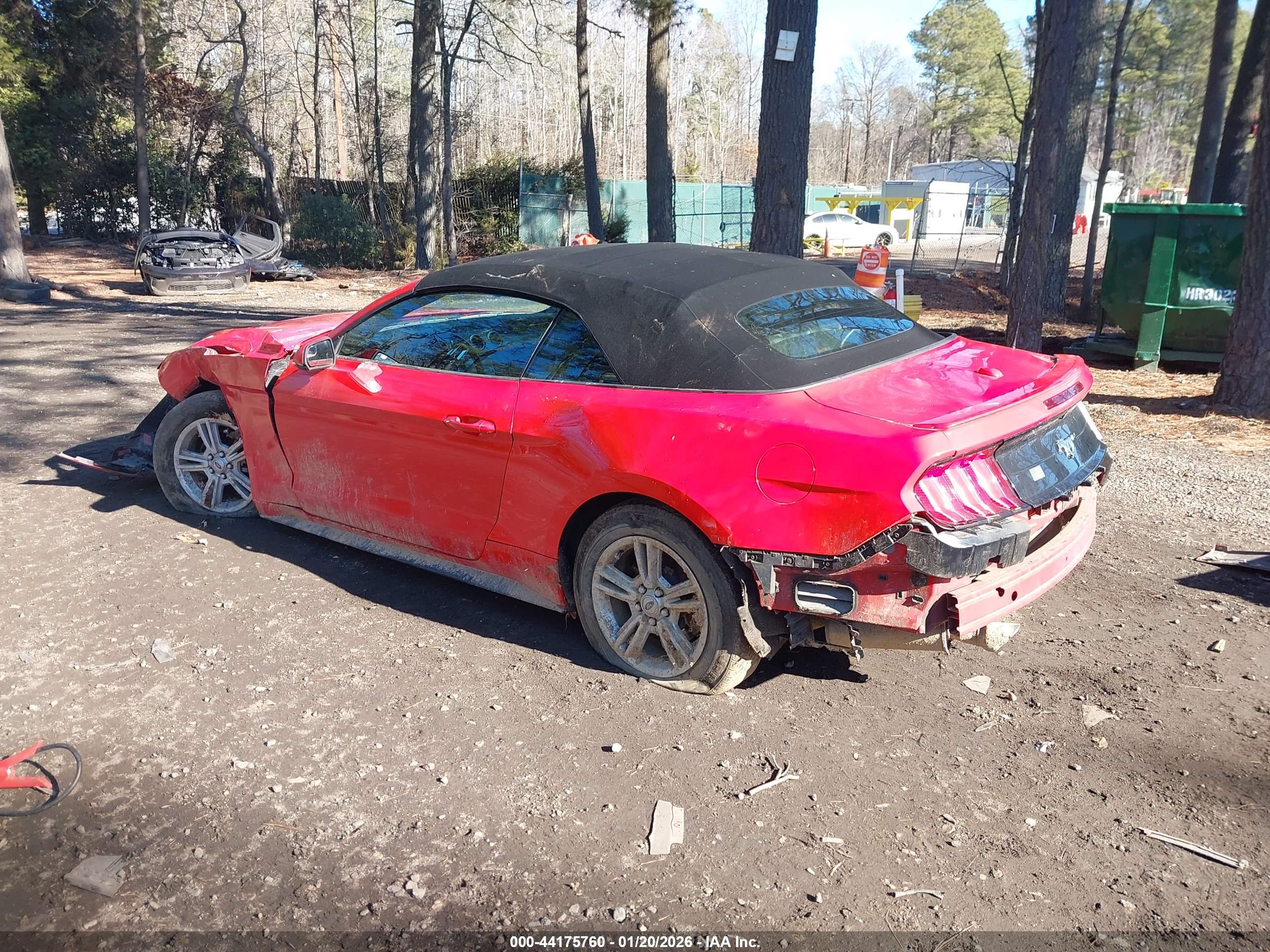 FORD MUSTANG image 3