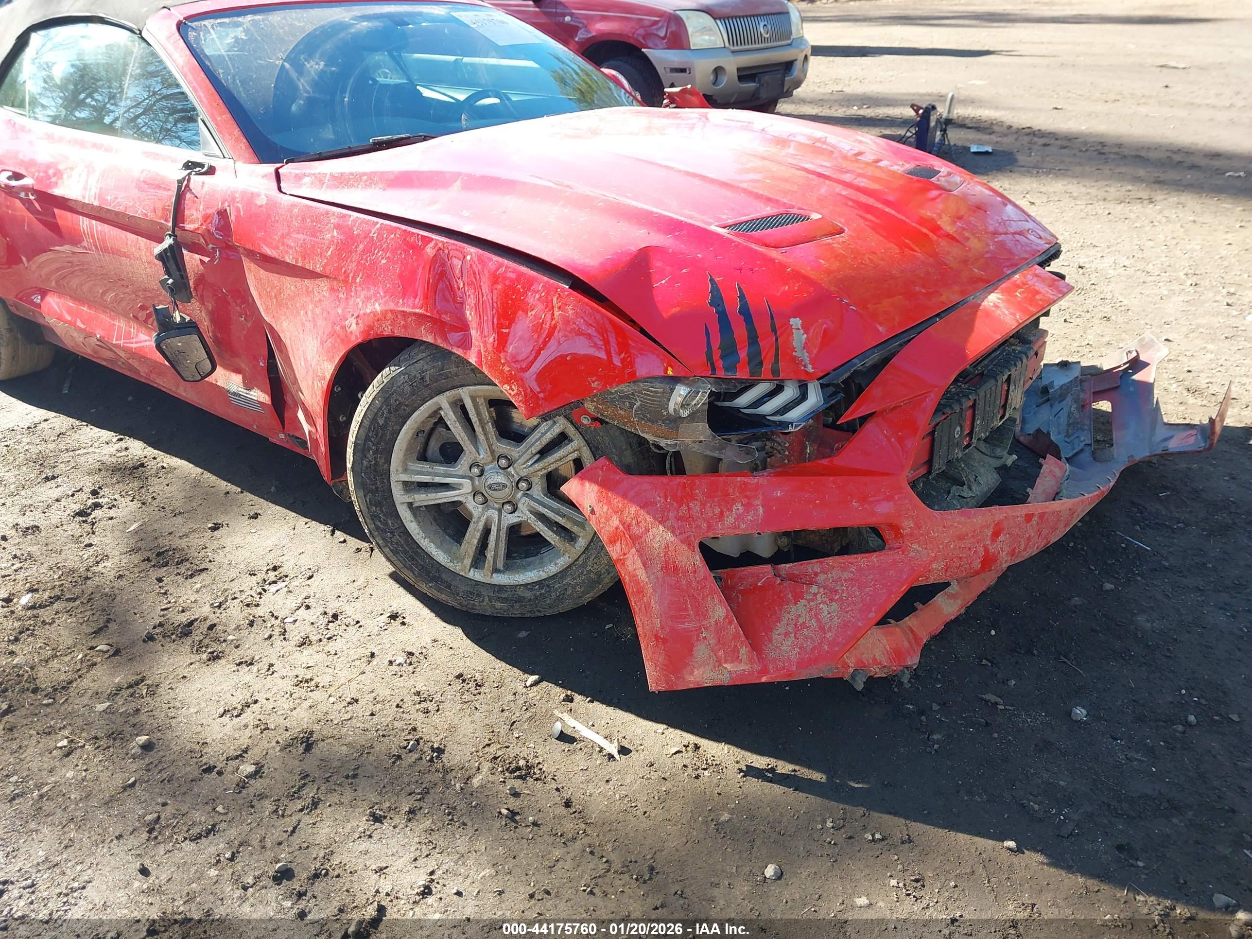 FORD MUSTANG image 6