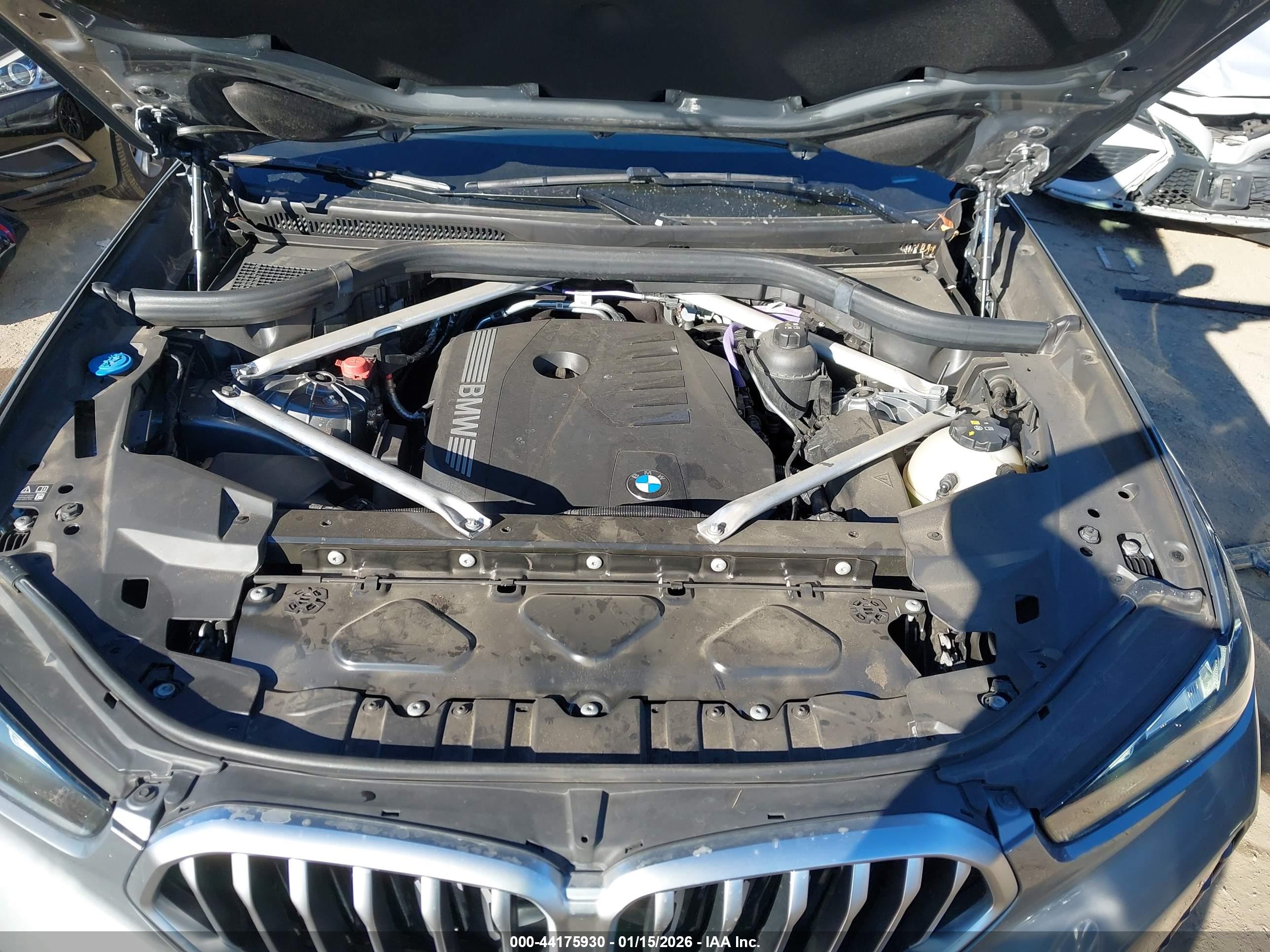 BMW X6 image 10