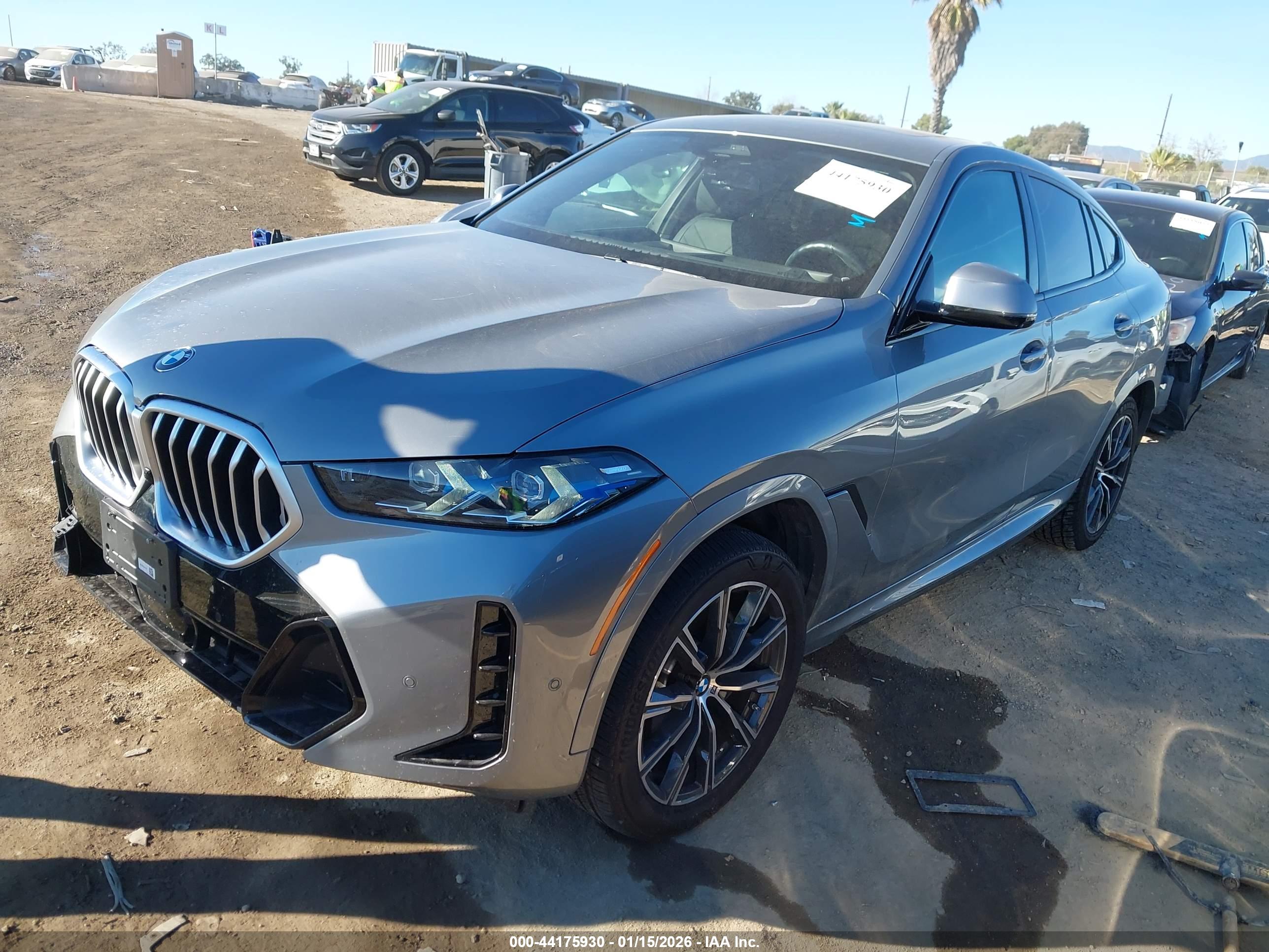 BMW X6 image 2