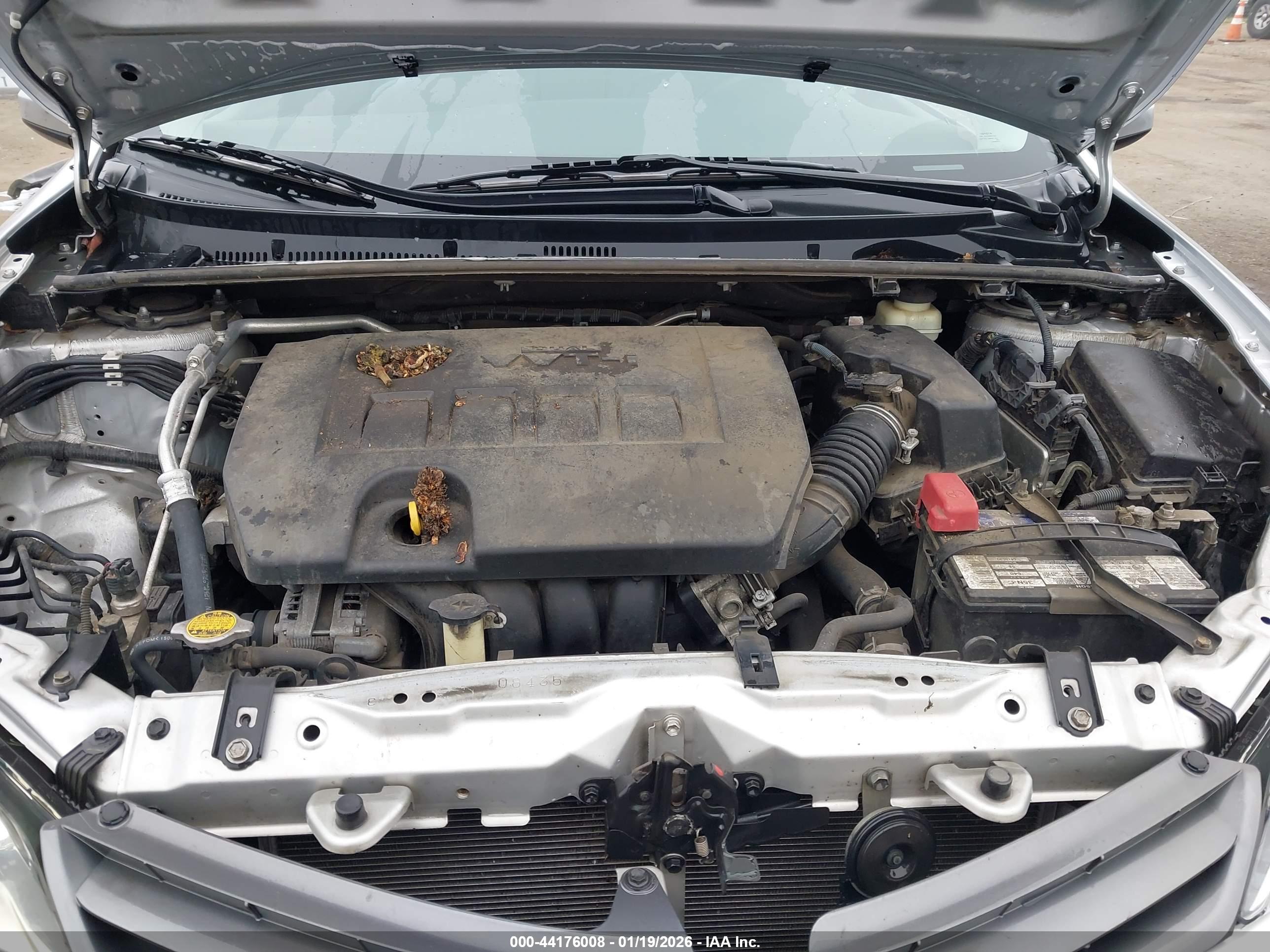 TOYOTA COROLLA image 10