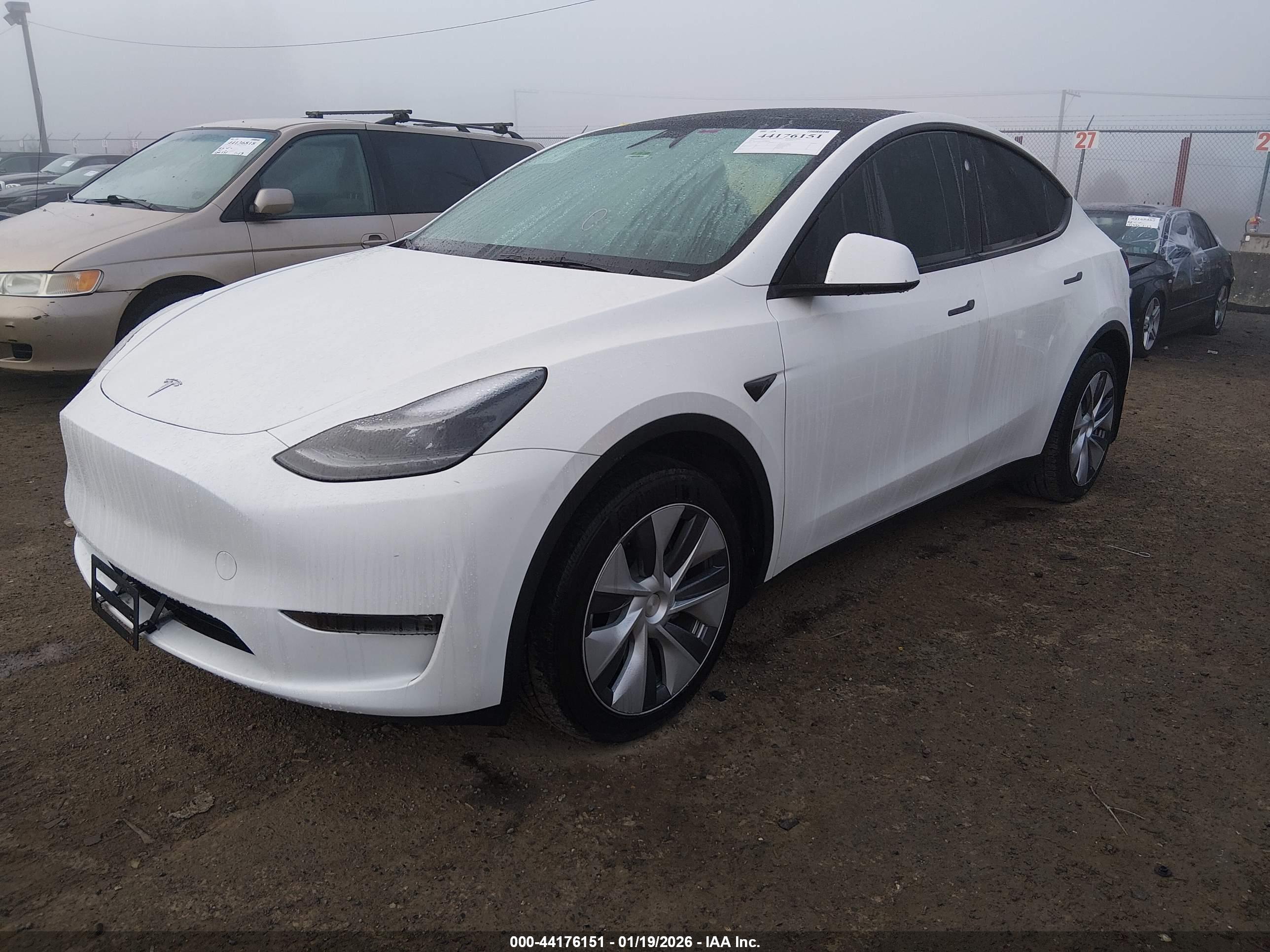 TESLA MODEL image 2