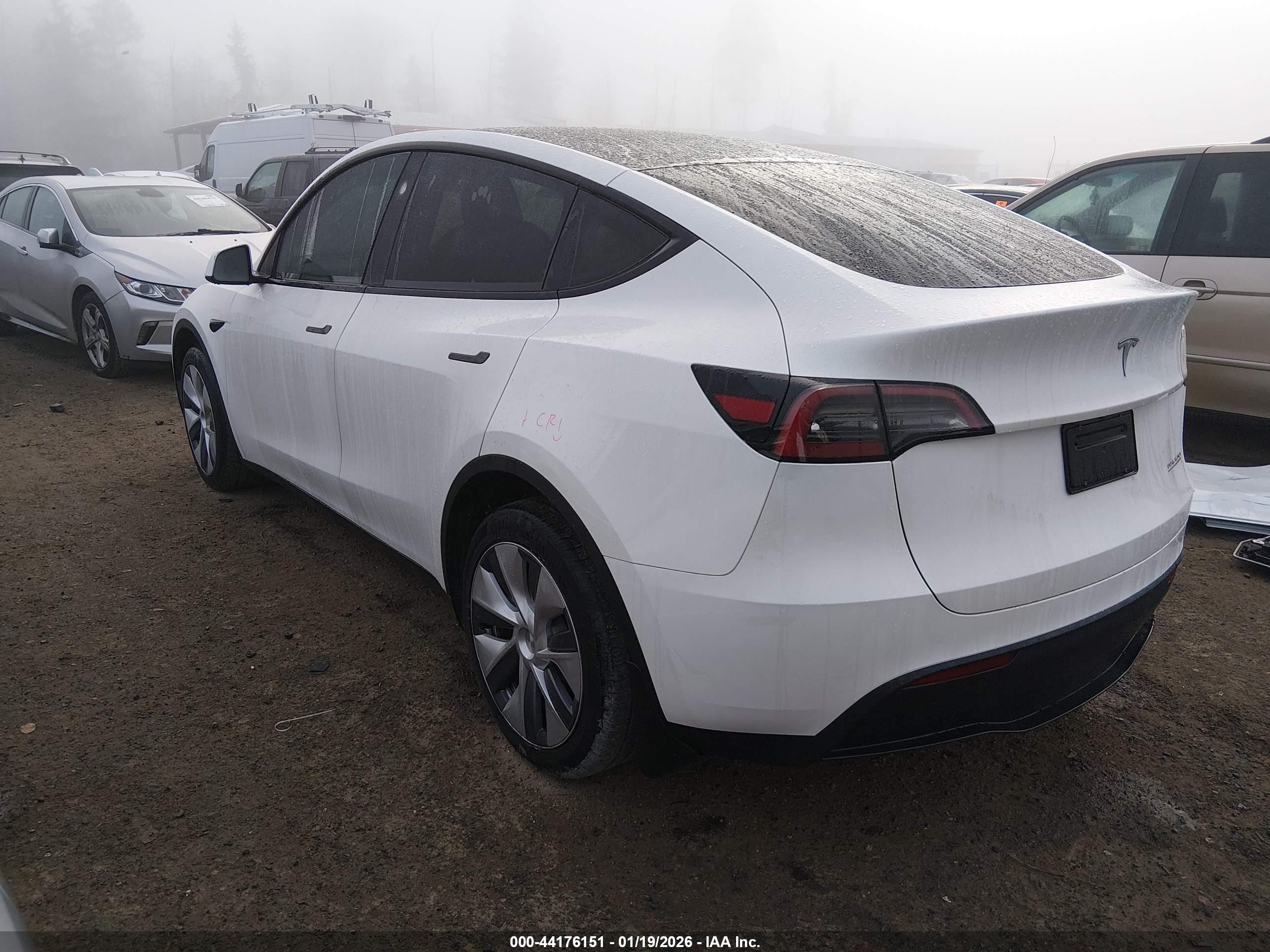 TESLA MODEL image 3