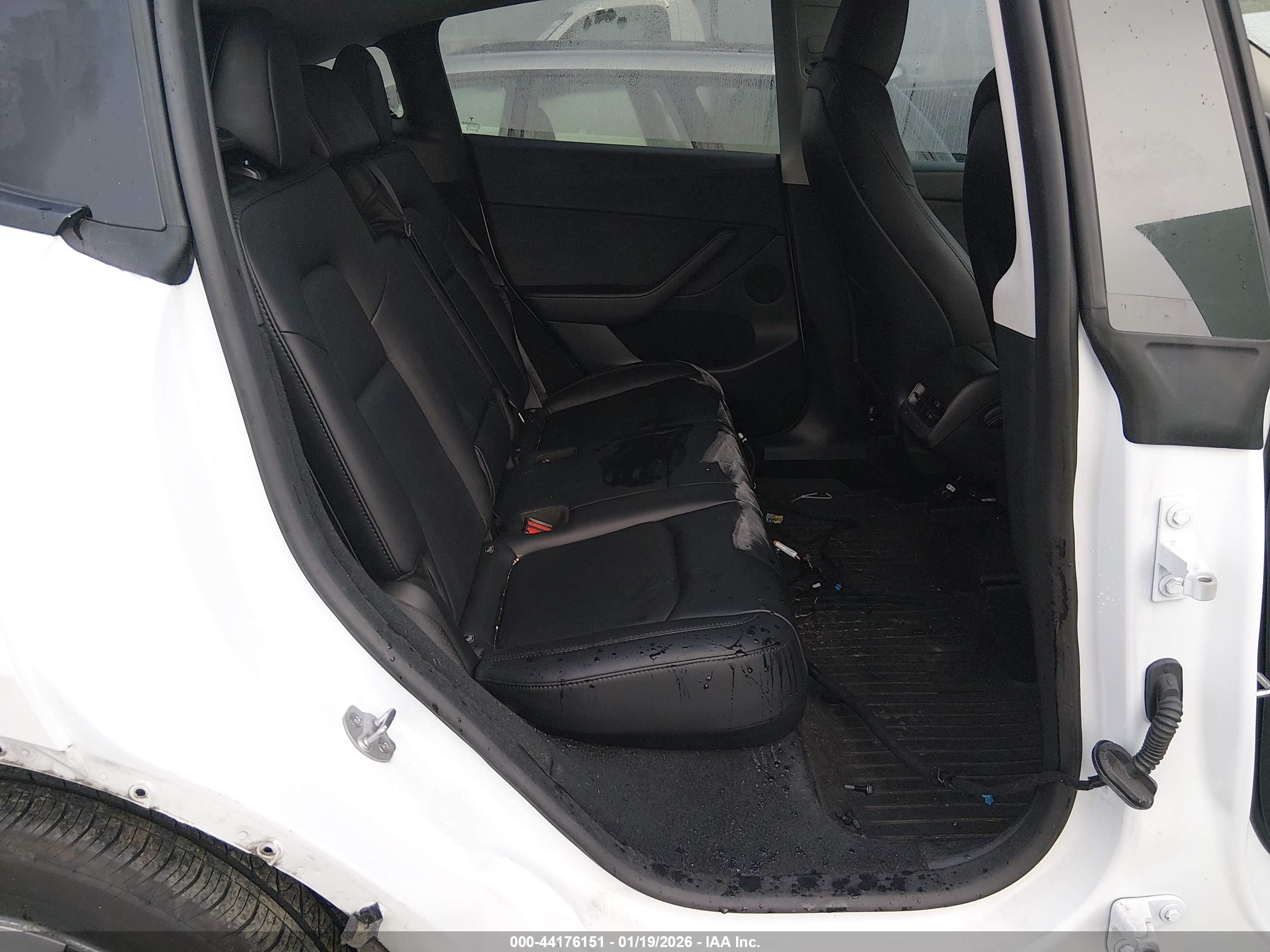 TESLA MODEL image 8