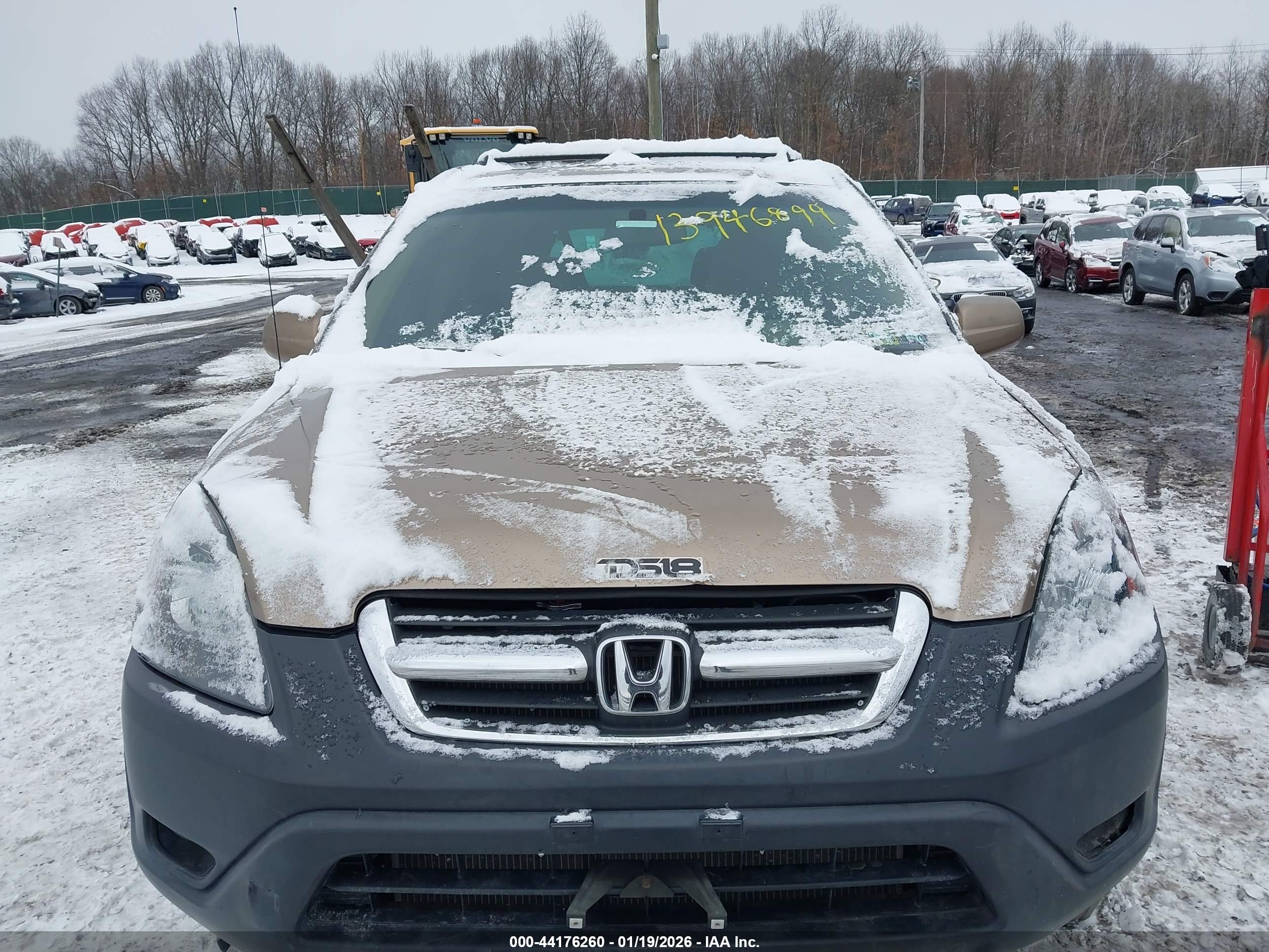 HONDA CR-V image 6