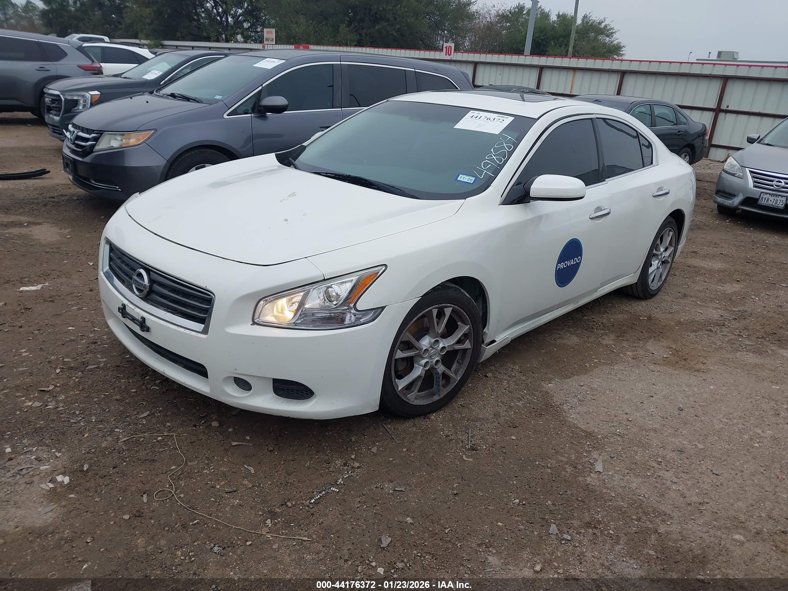 NISSAN MAXIMA image 2
