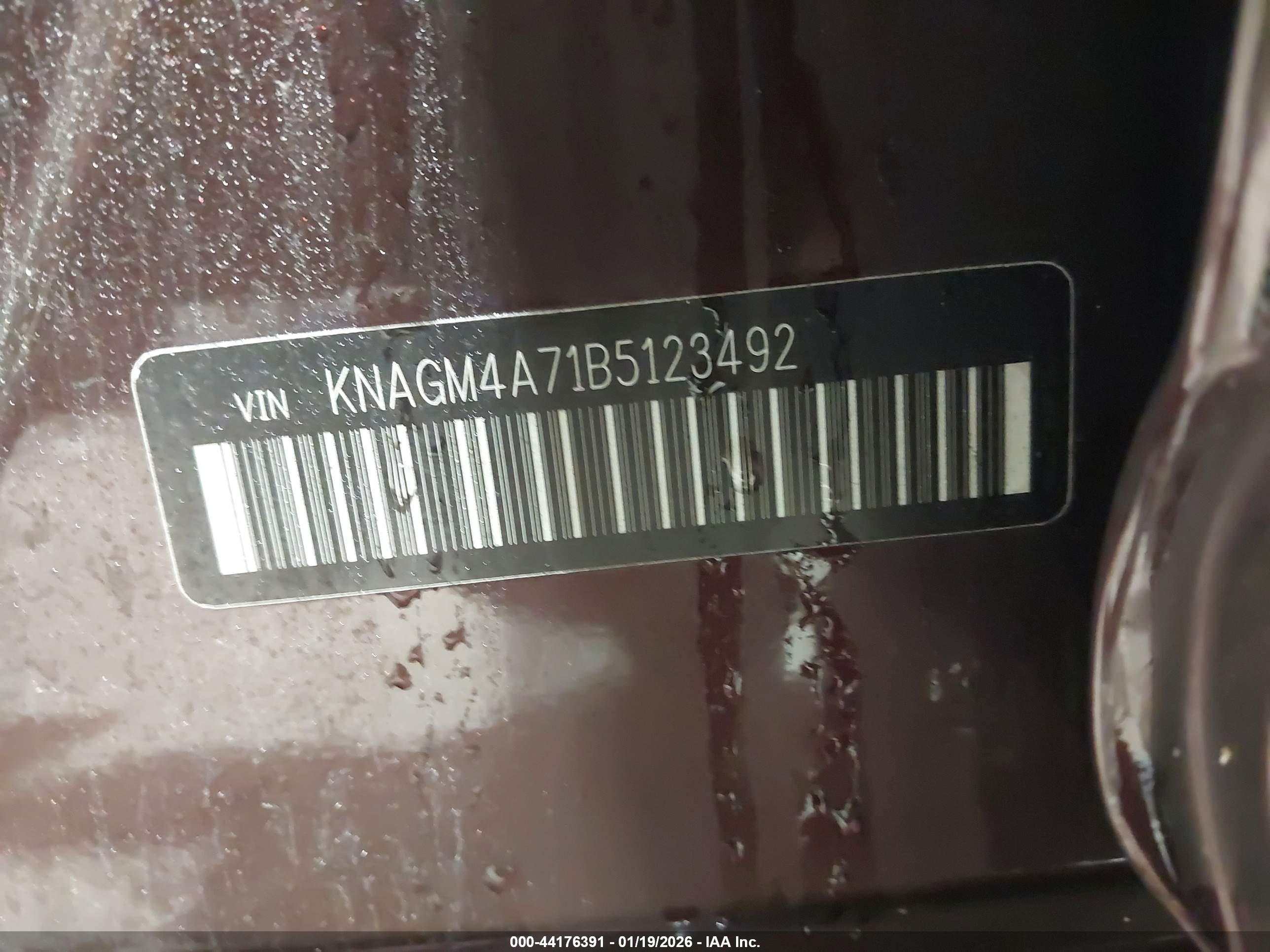 KIA OPTIMA image 9