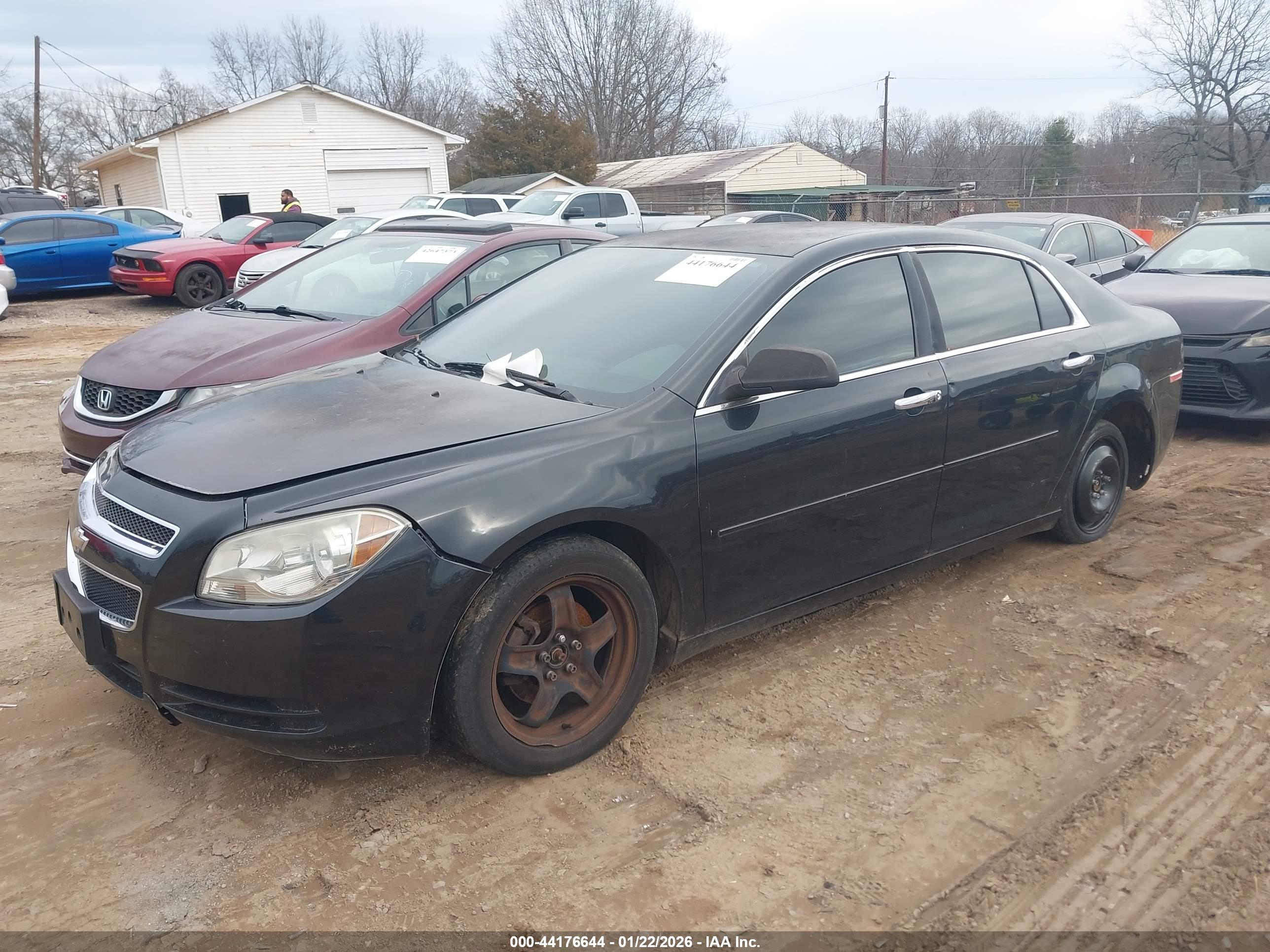 CHEVROLET MALIBU image 2