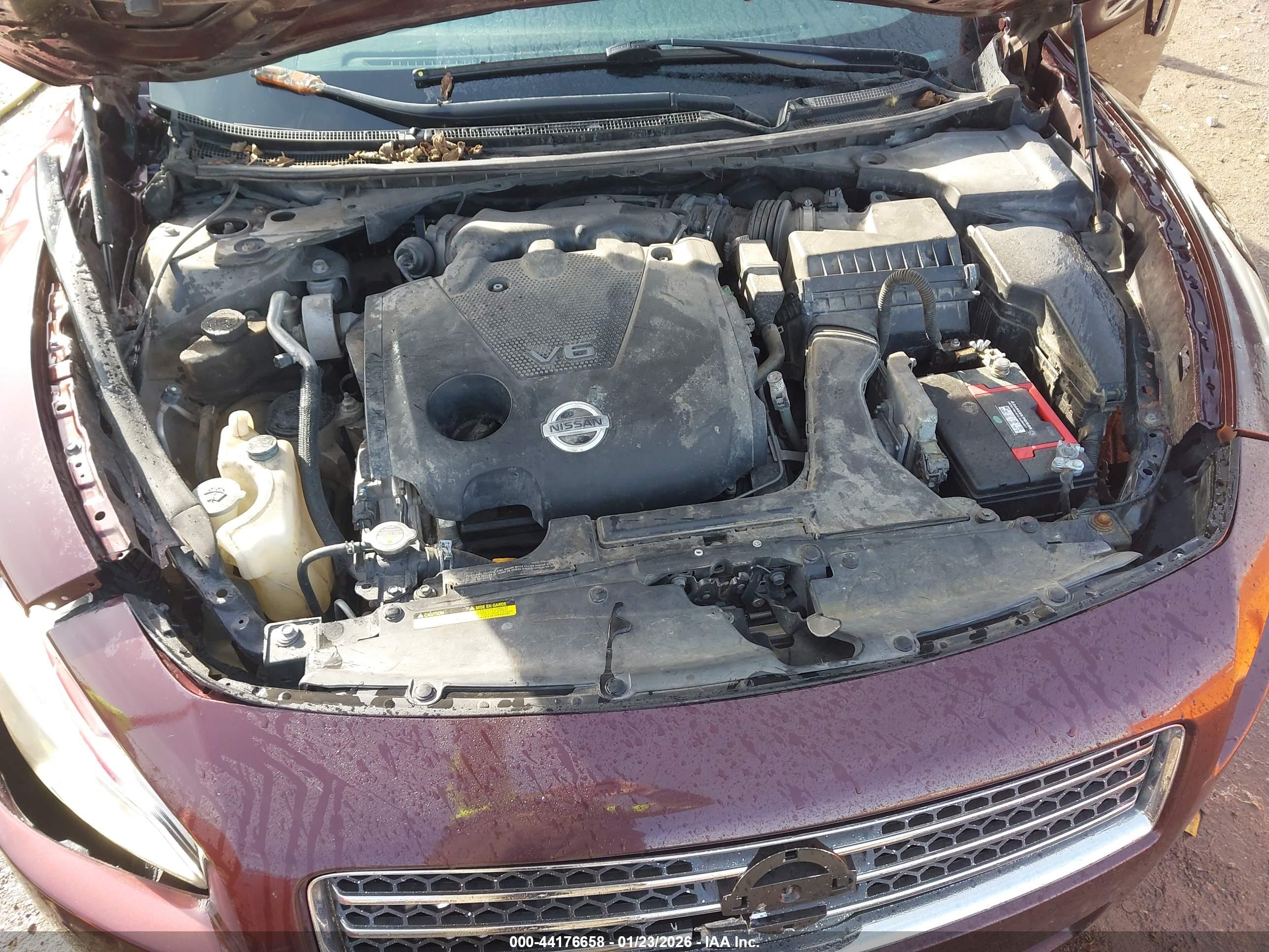 NISSAN MAXIMA image 10