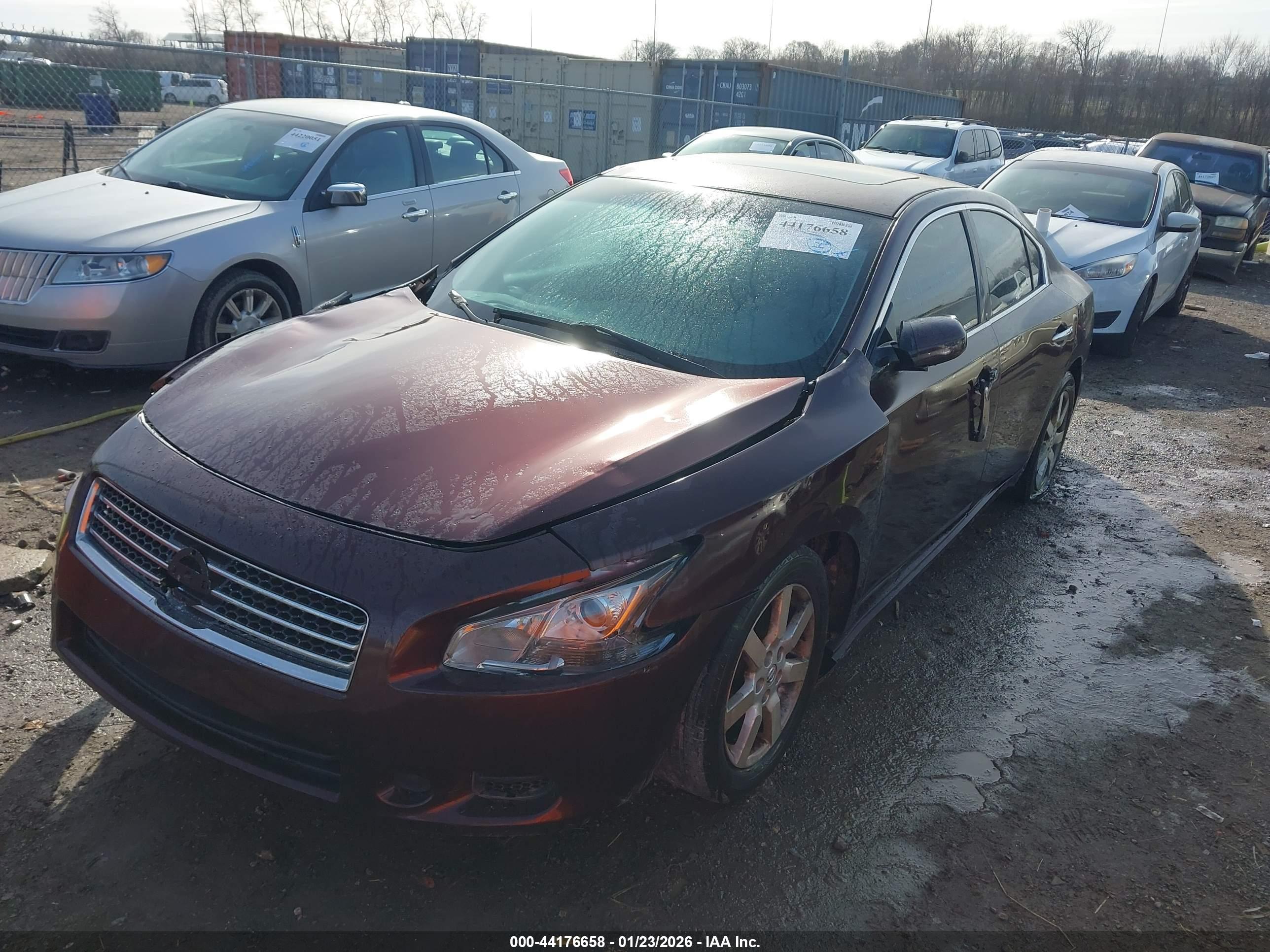 NISSAN MAXIMA image 2