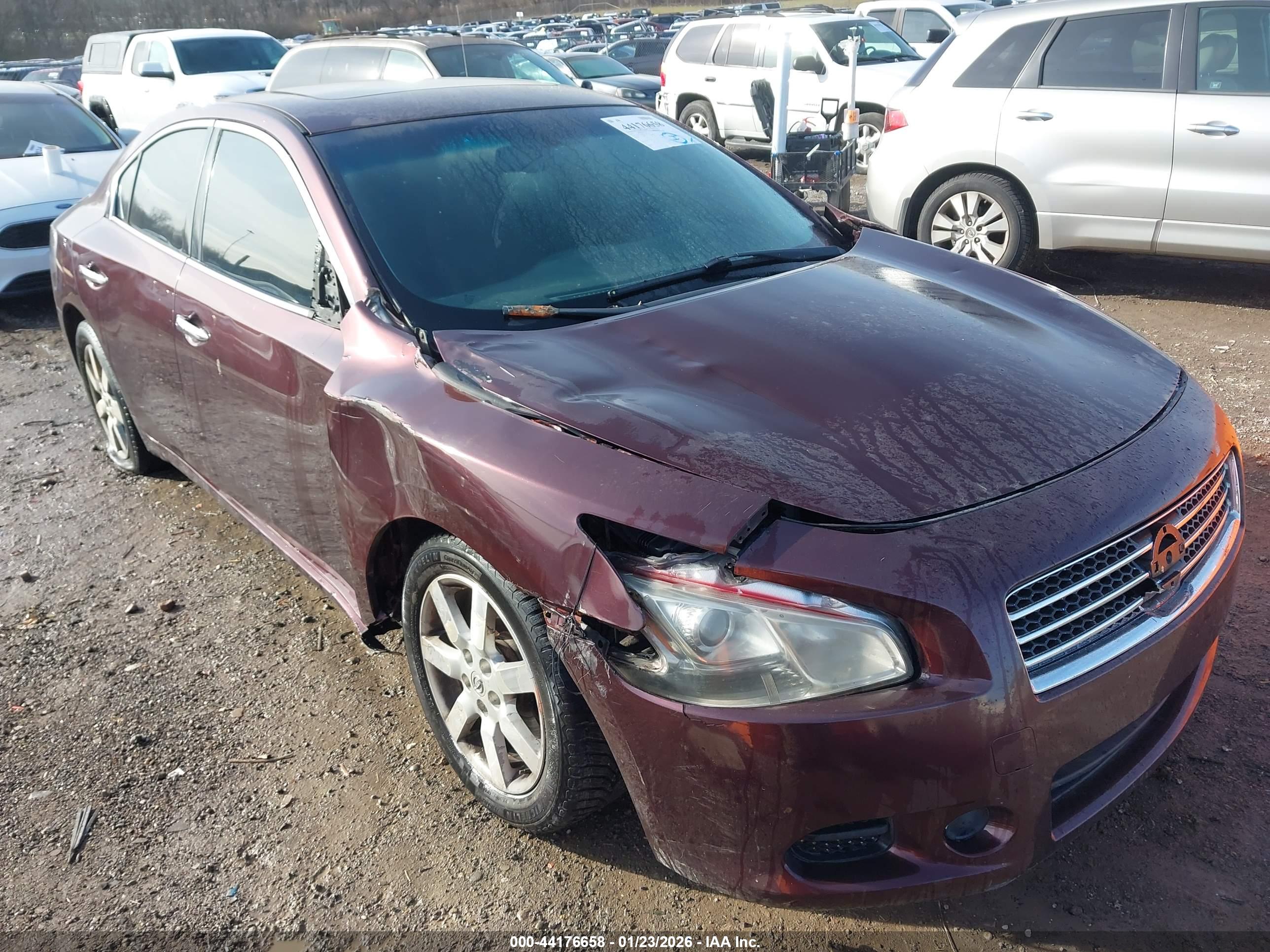 NISSAN MAXIMA image 6