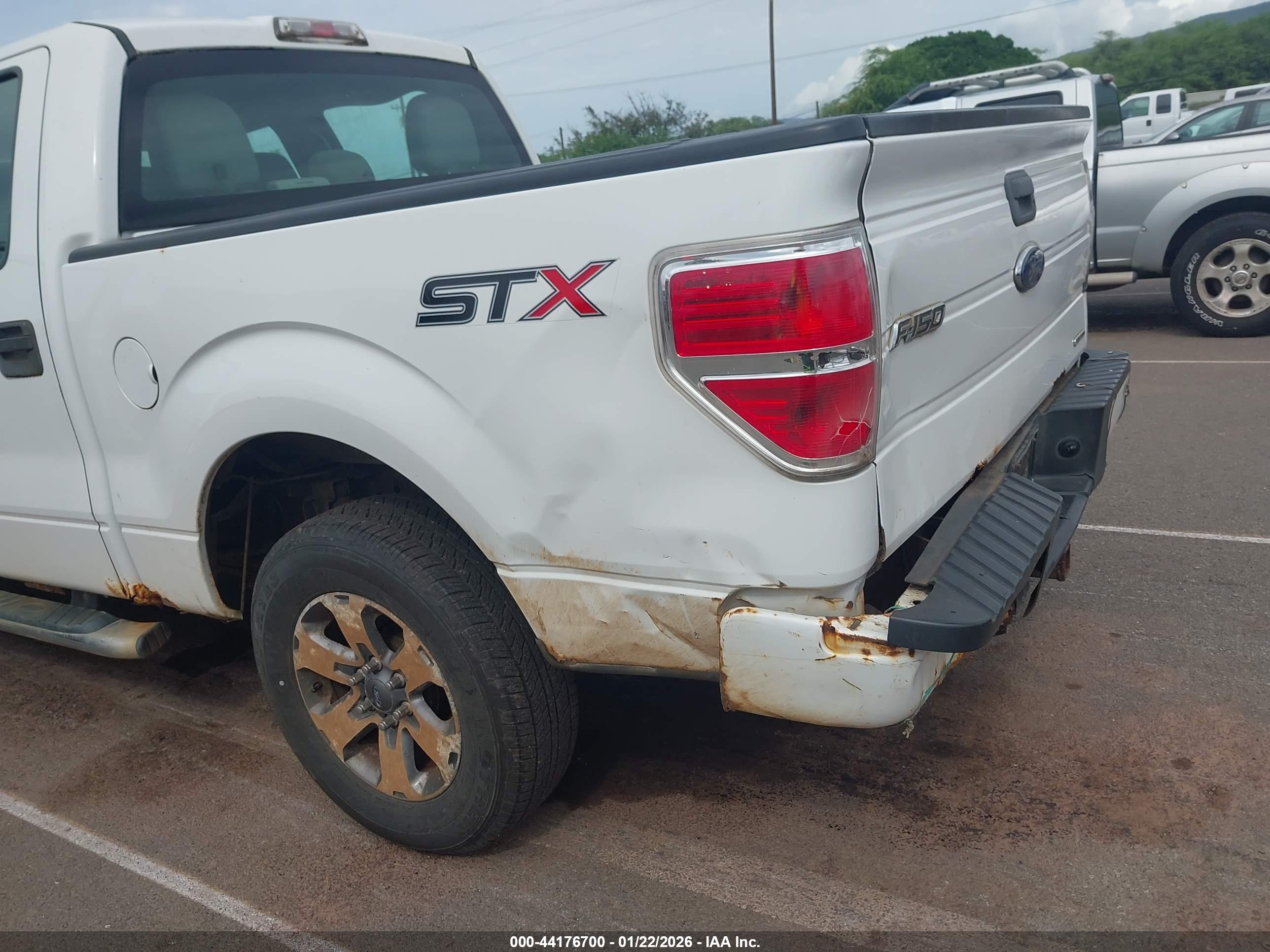 FORD F-150 image 6