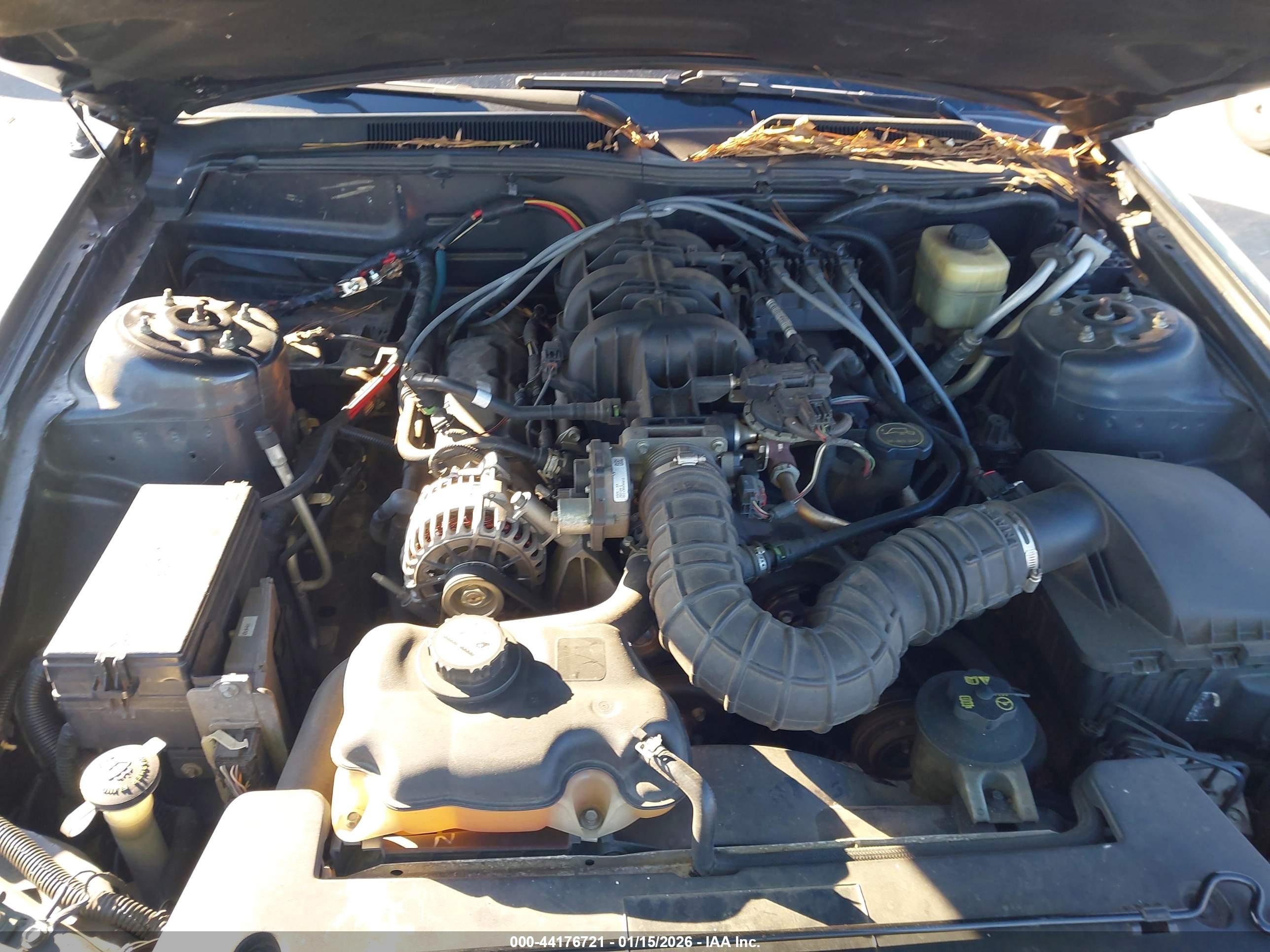 FORD MUSTANG image 10