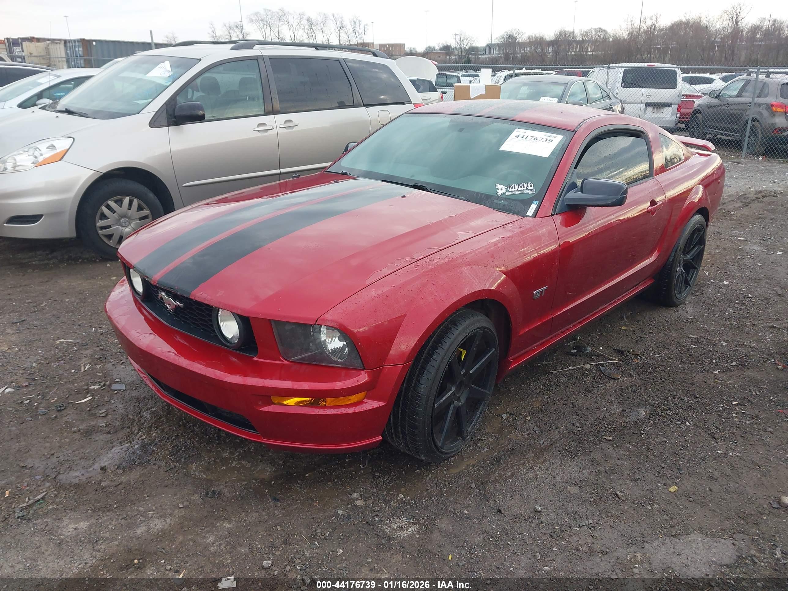 FORD MUSTANG image 2