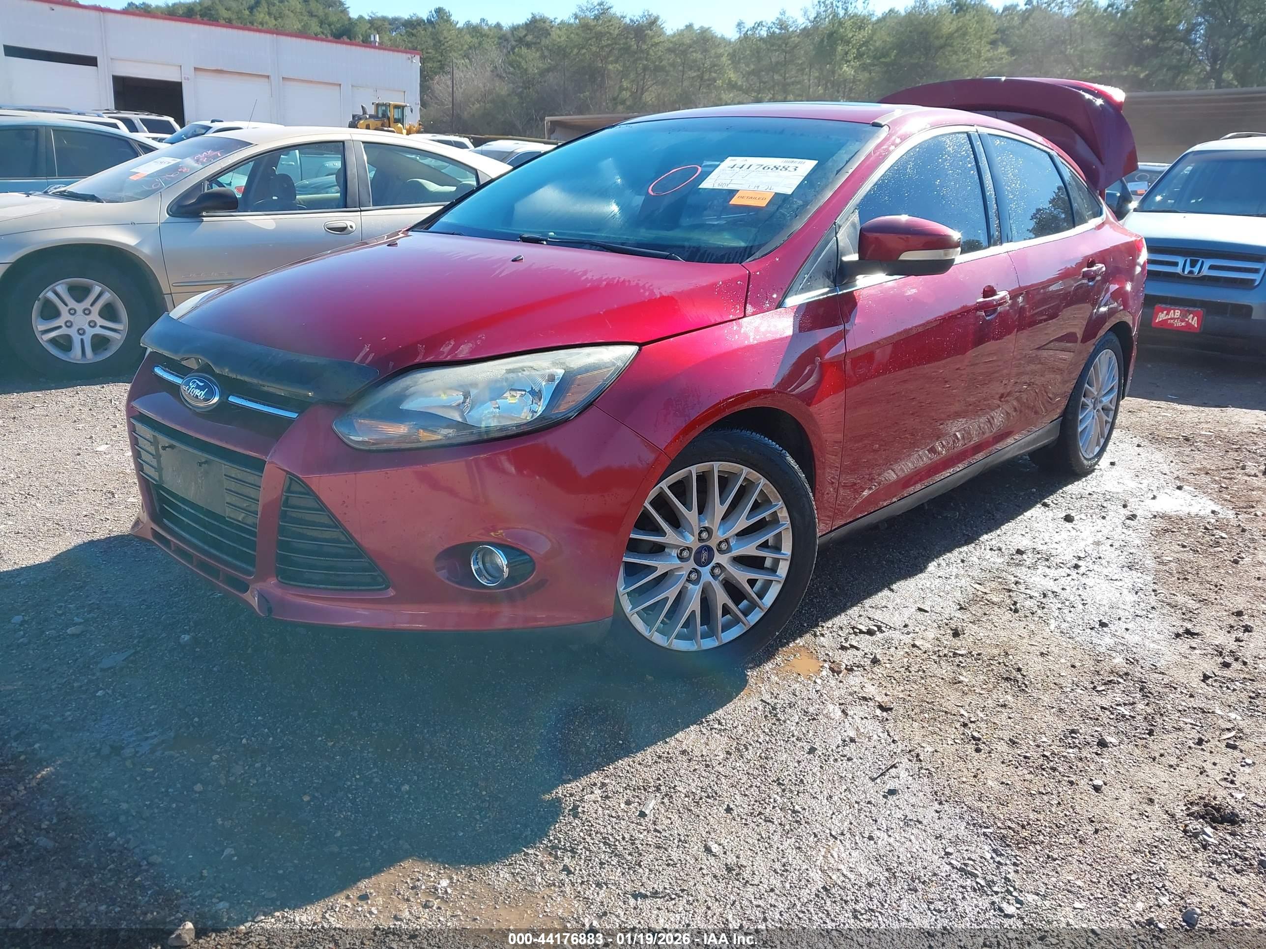 FORD FOCUS image 2