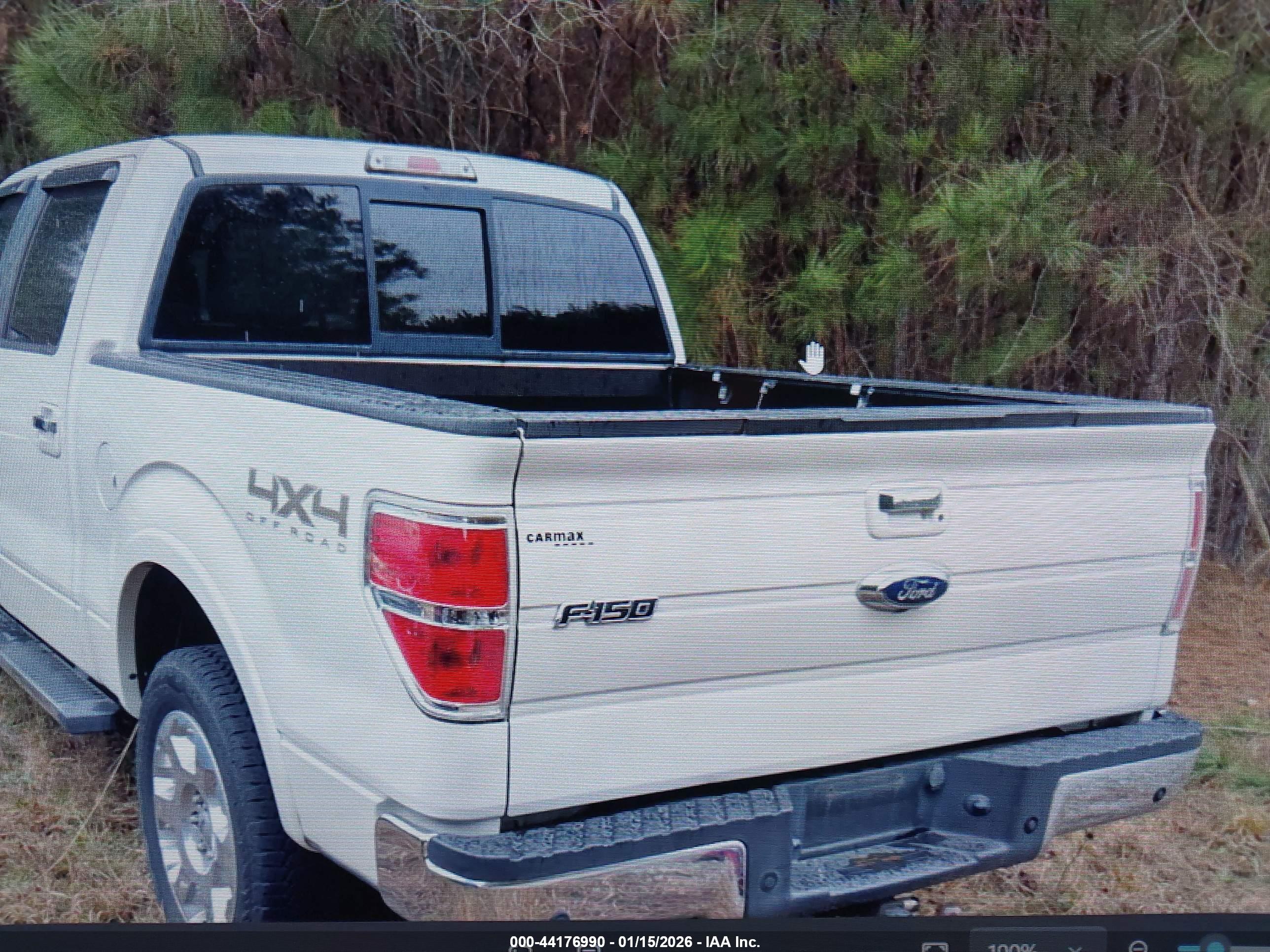 FORD F-150 image 3