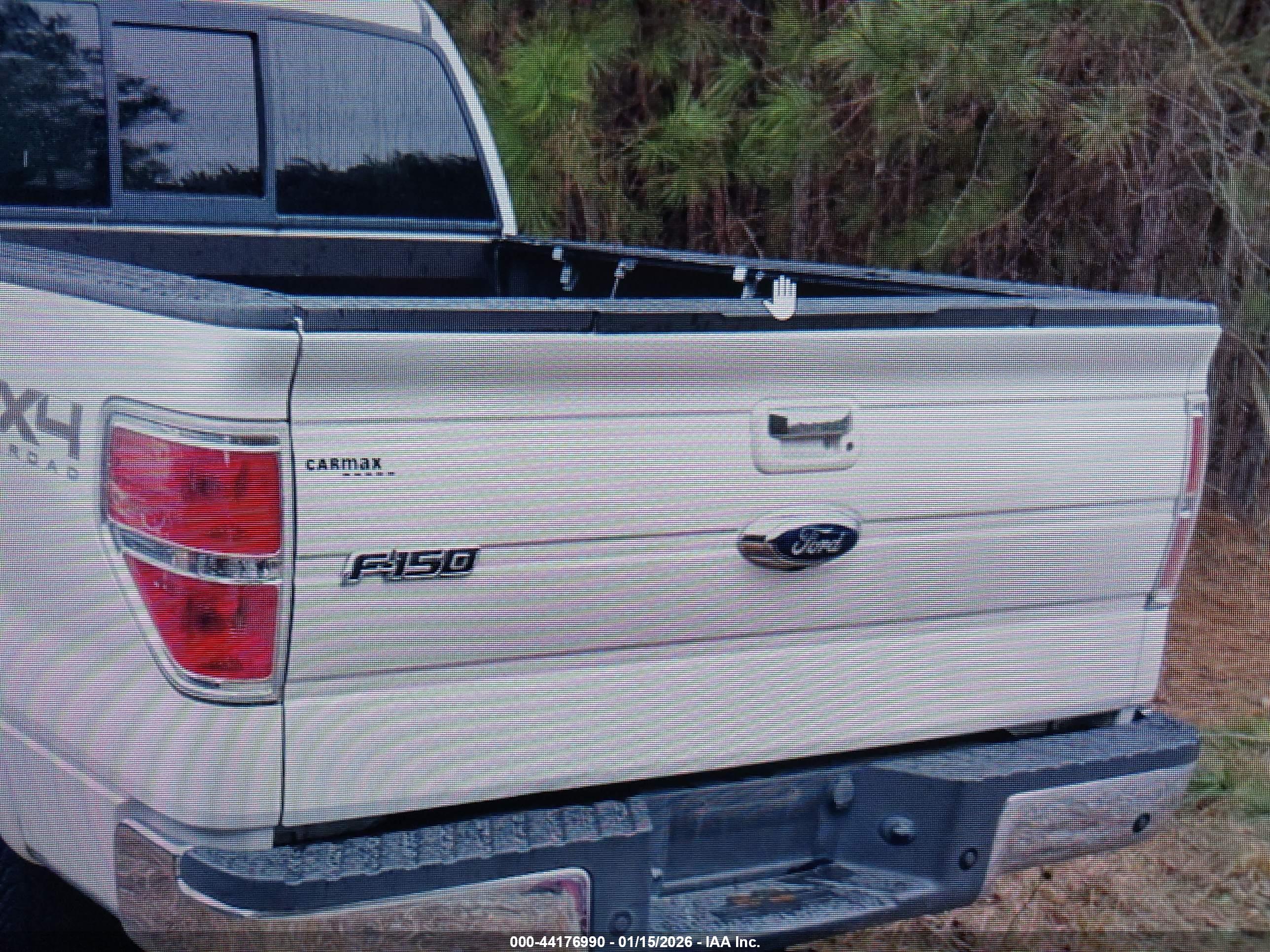 FORD F-150 image 6