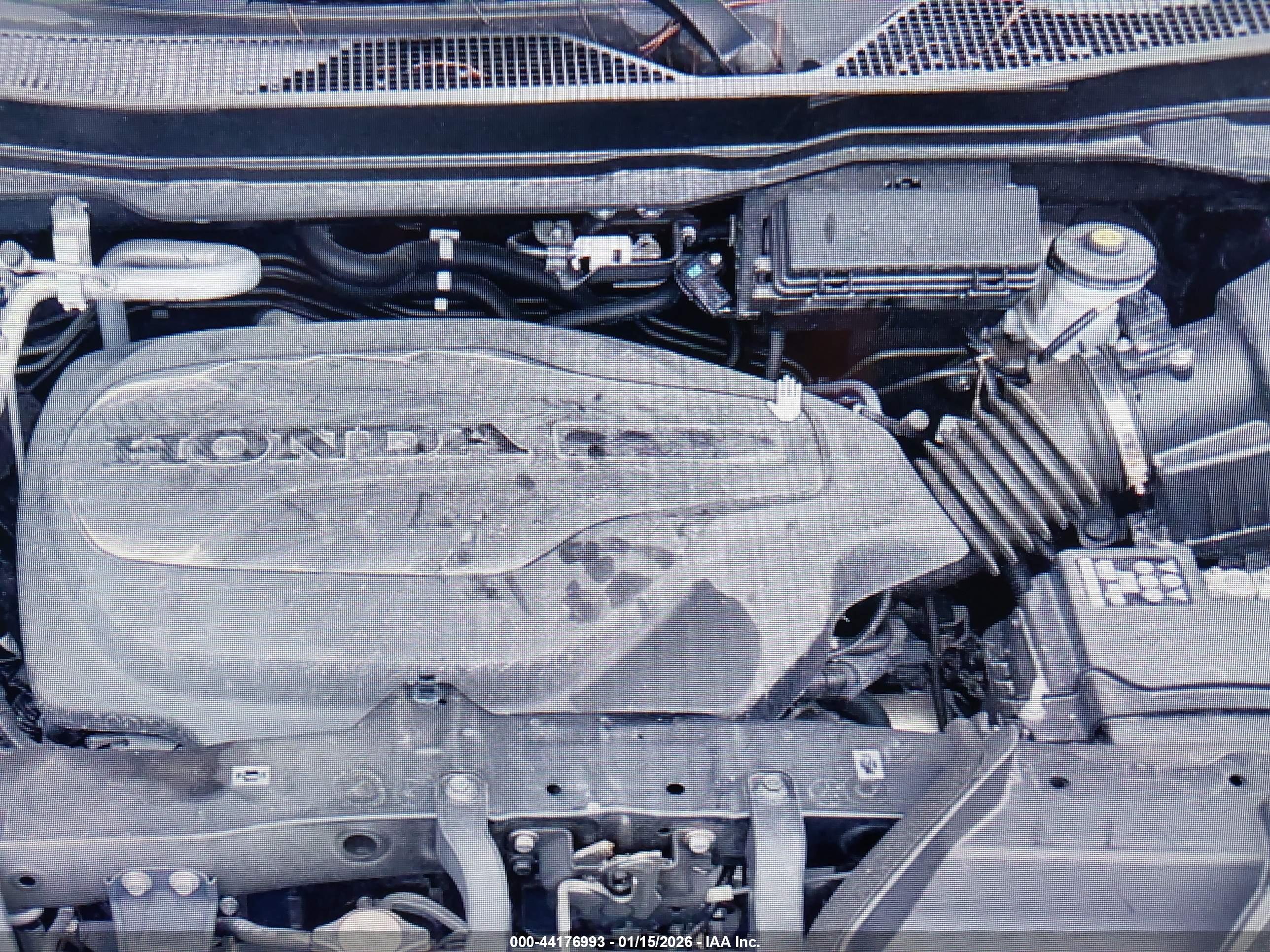 HONDA PASSPORT image 10
