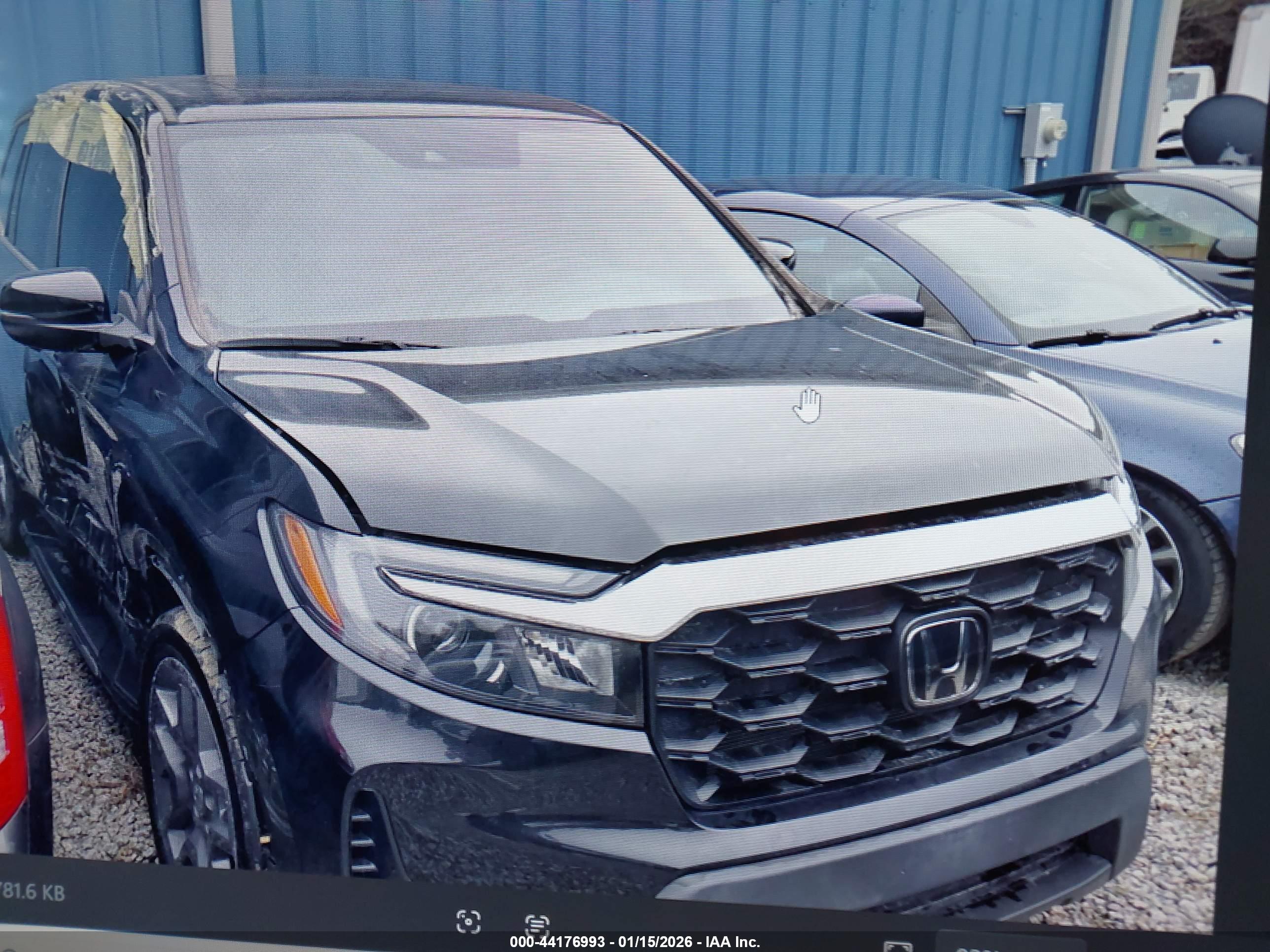 HONDA PASSPORT image 2