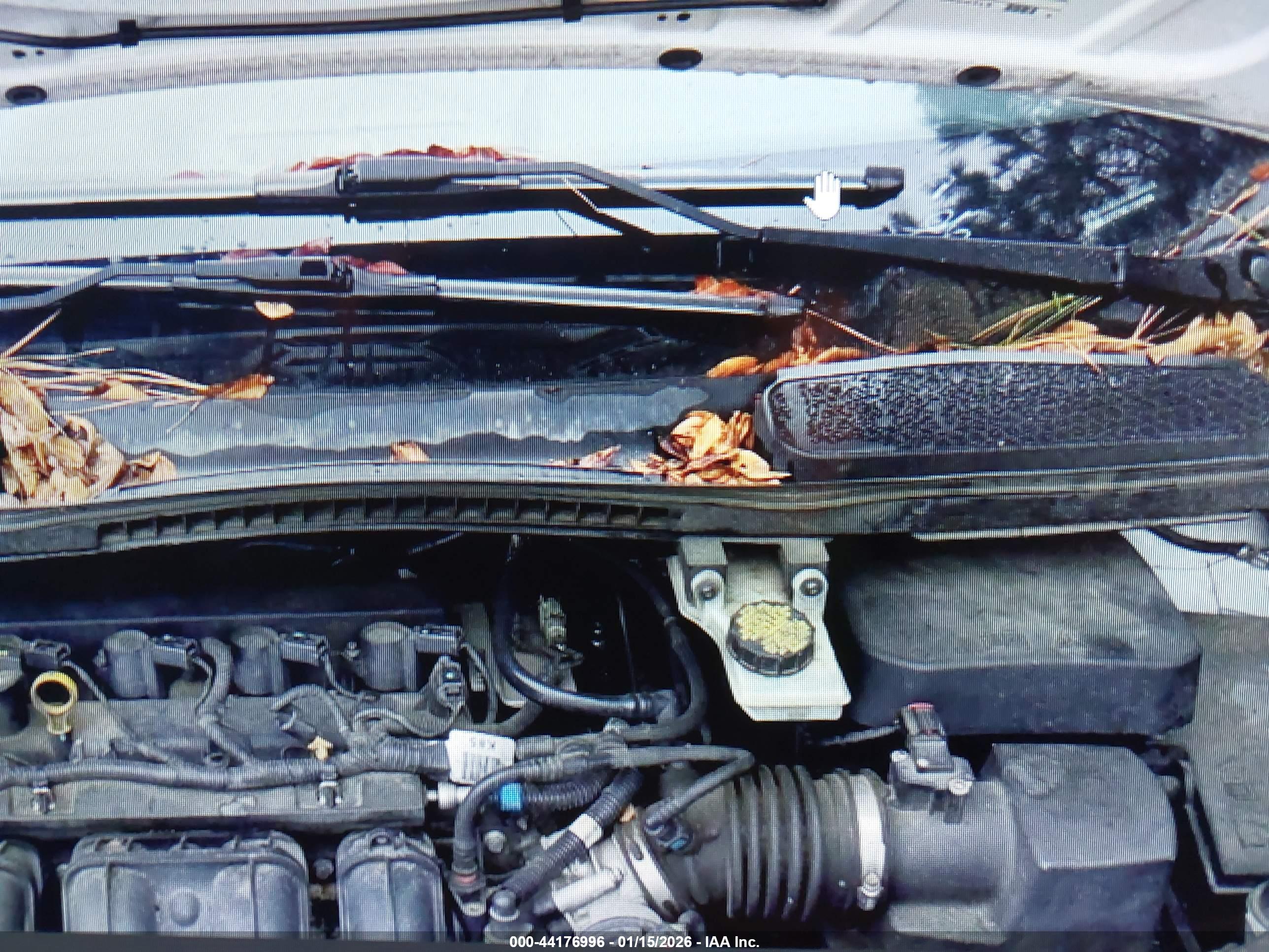 FORD TRANSIT image 10