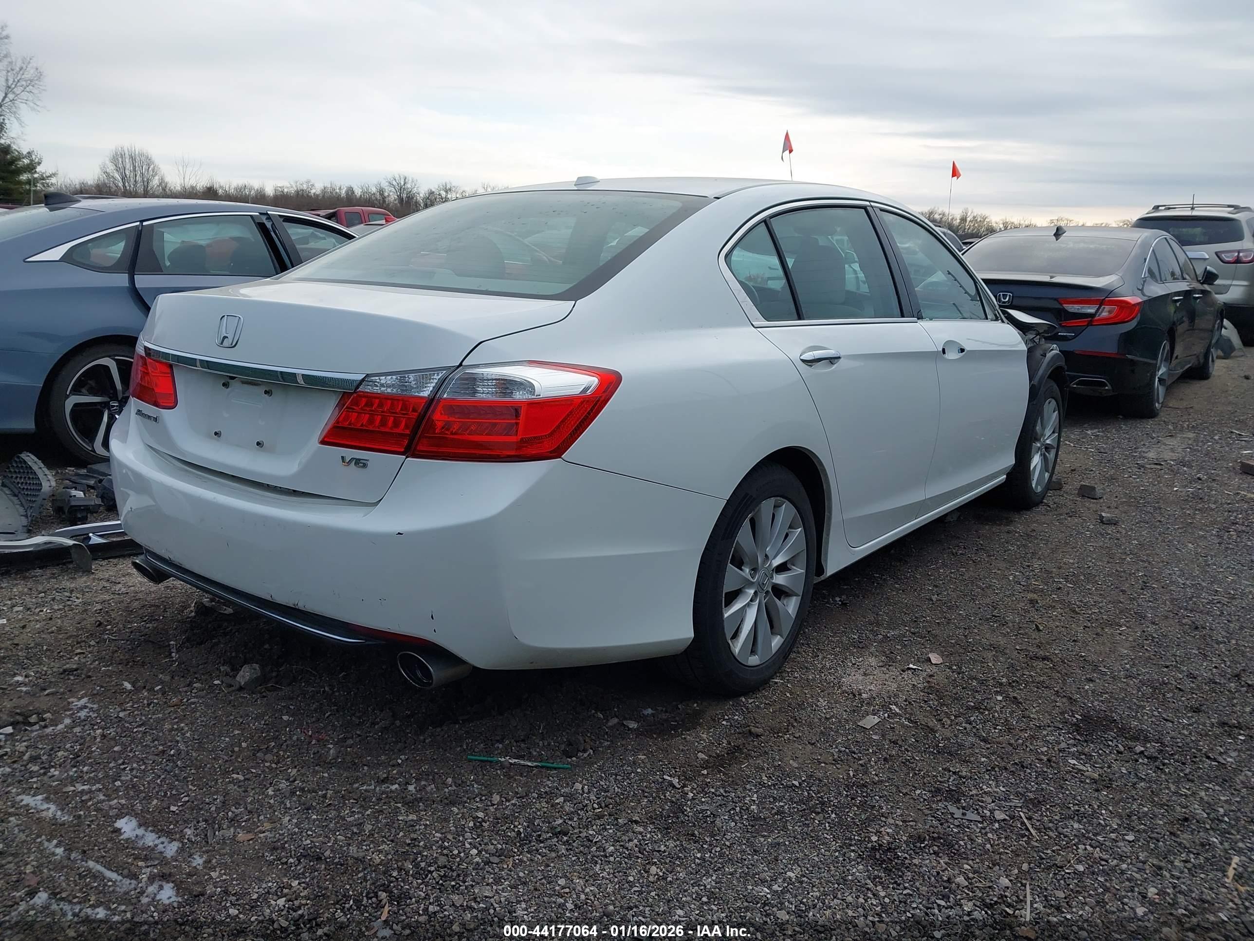 HONDA ACCORD image 4