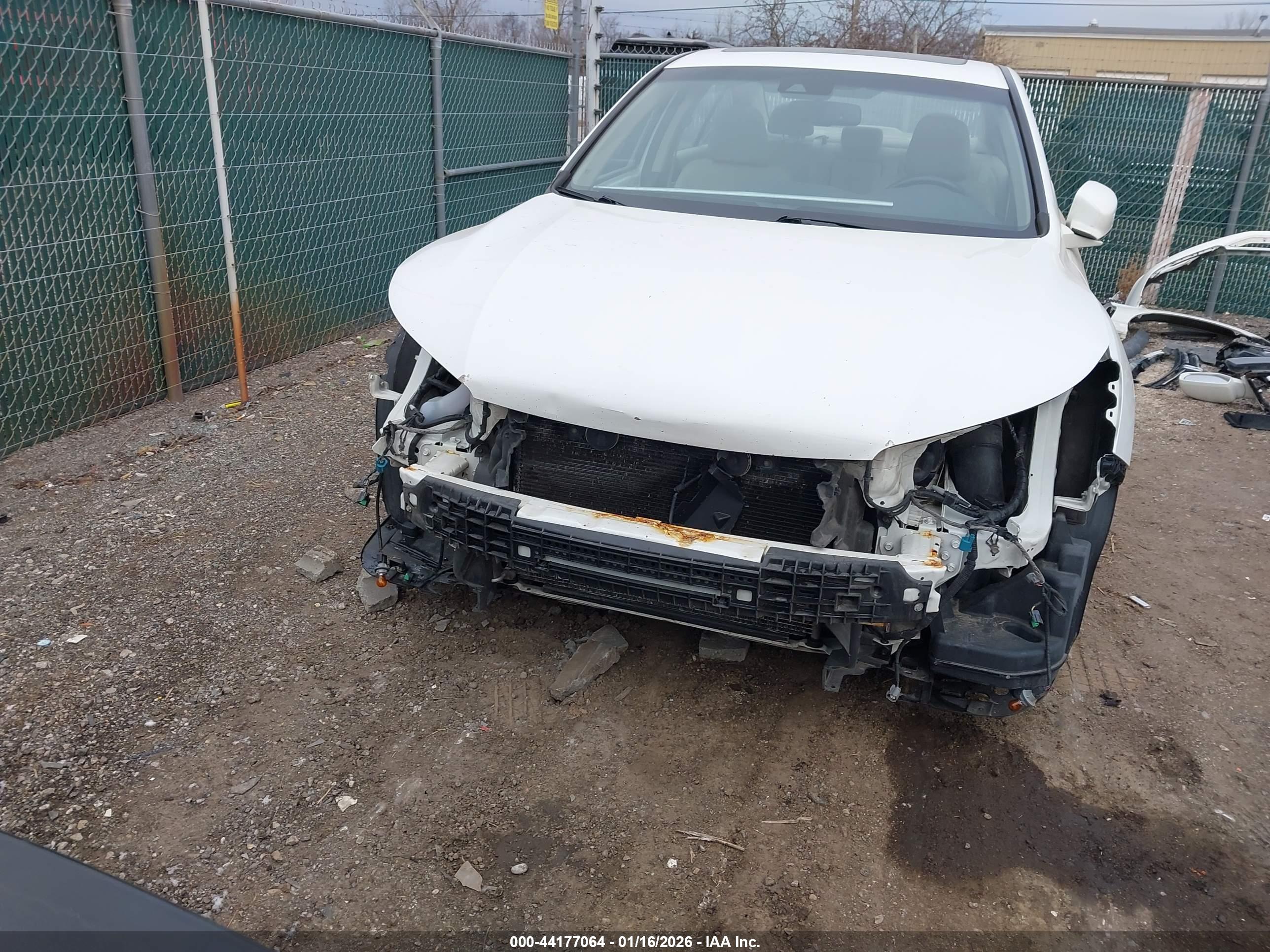 HONDA ACCORD image 6