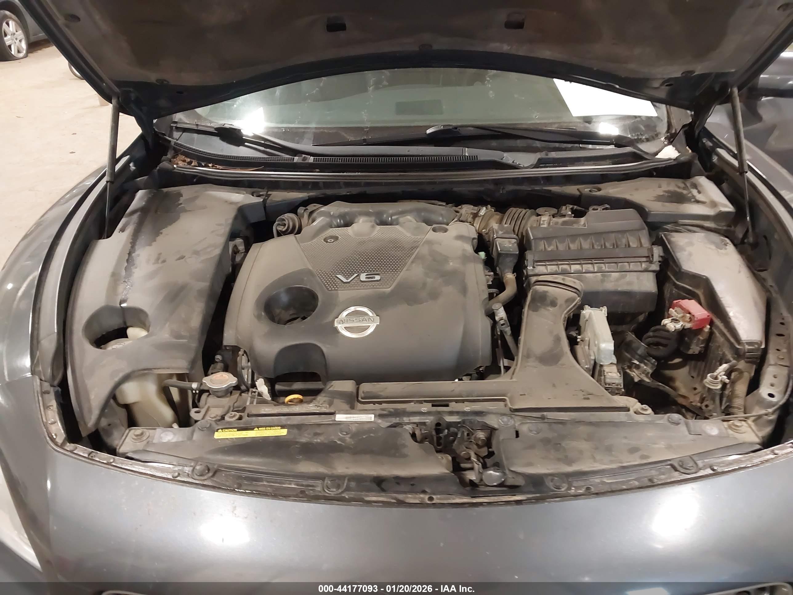NISSAN MAXIMA image 10