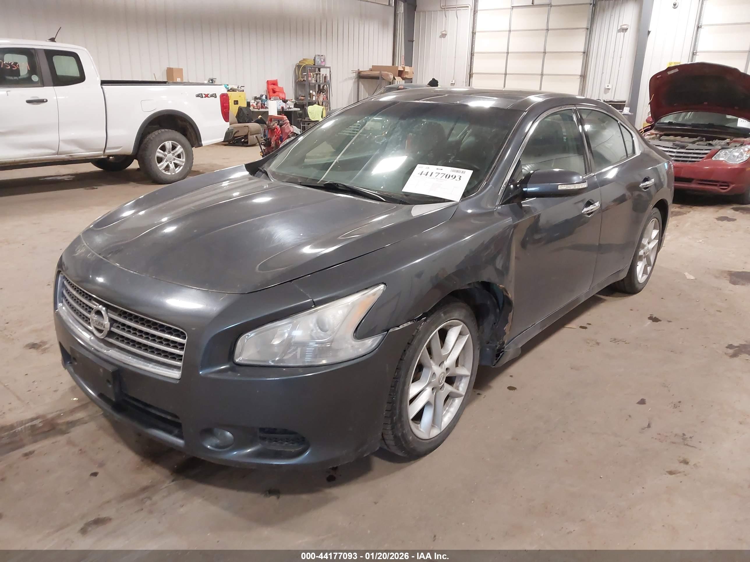 NISSAN MAXIMA image 2