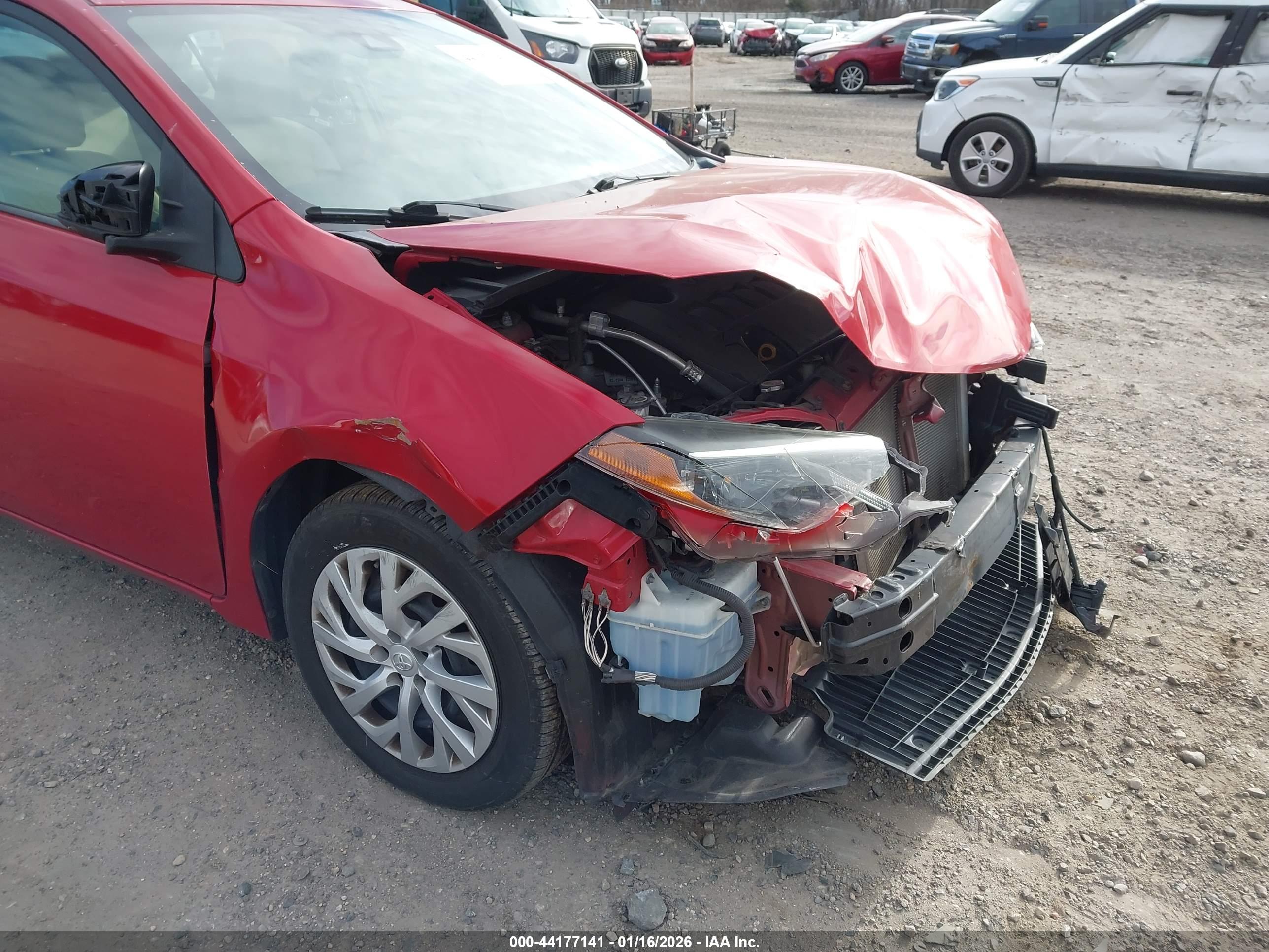TOYOTA COROLLA image 6