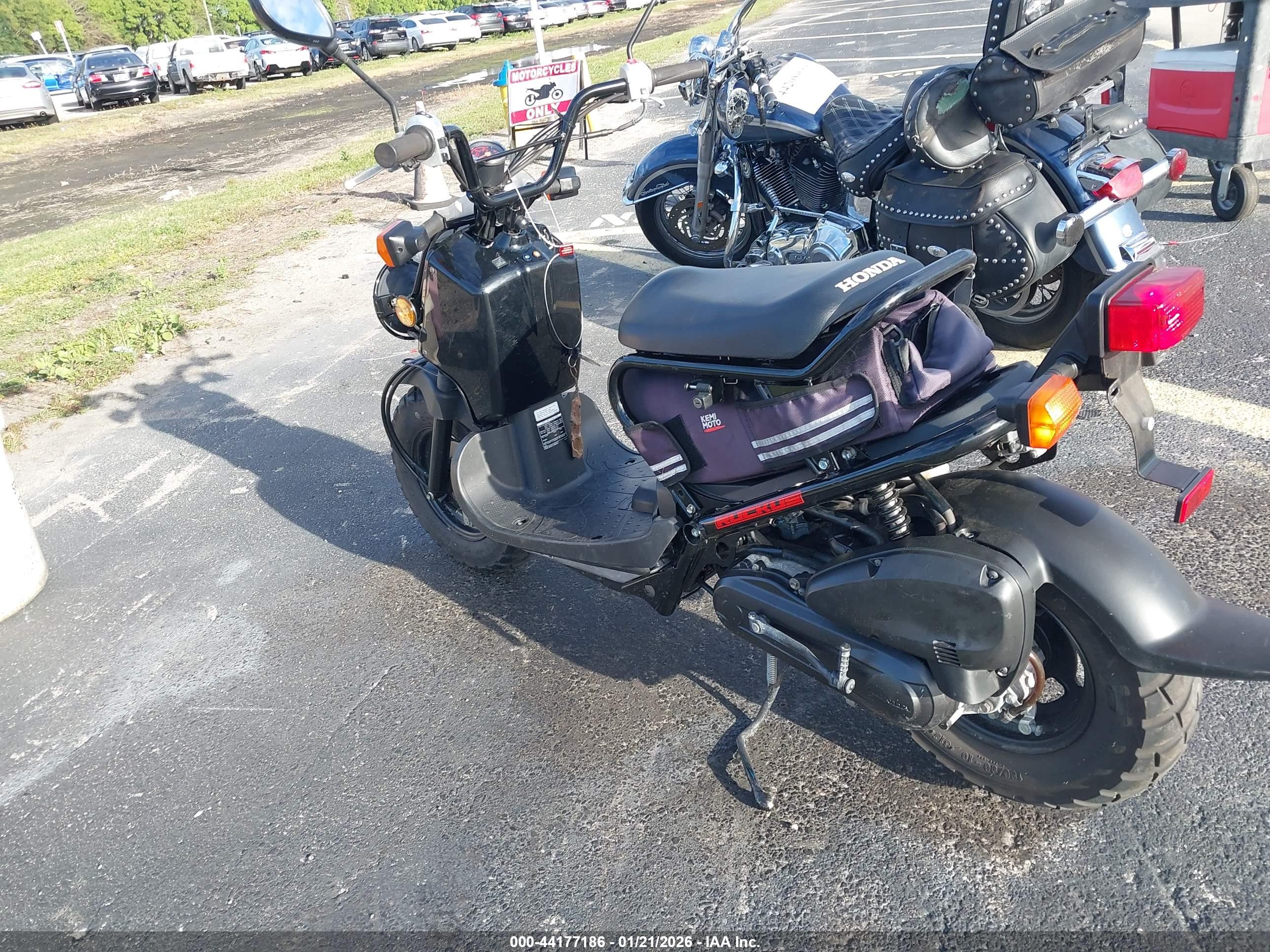 HONDA NPS50 image 3