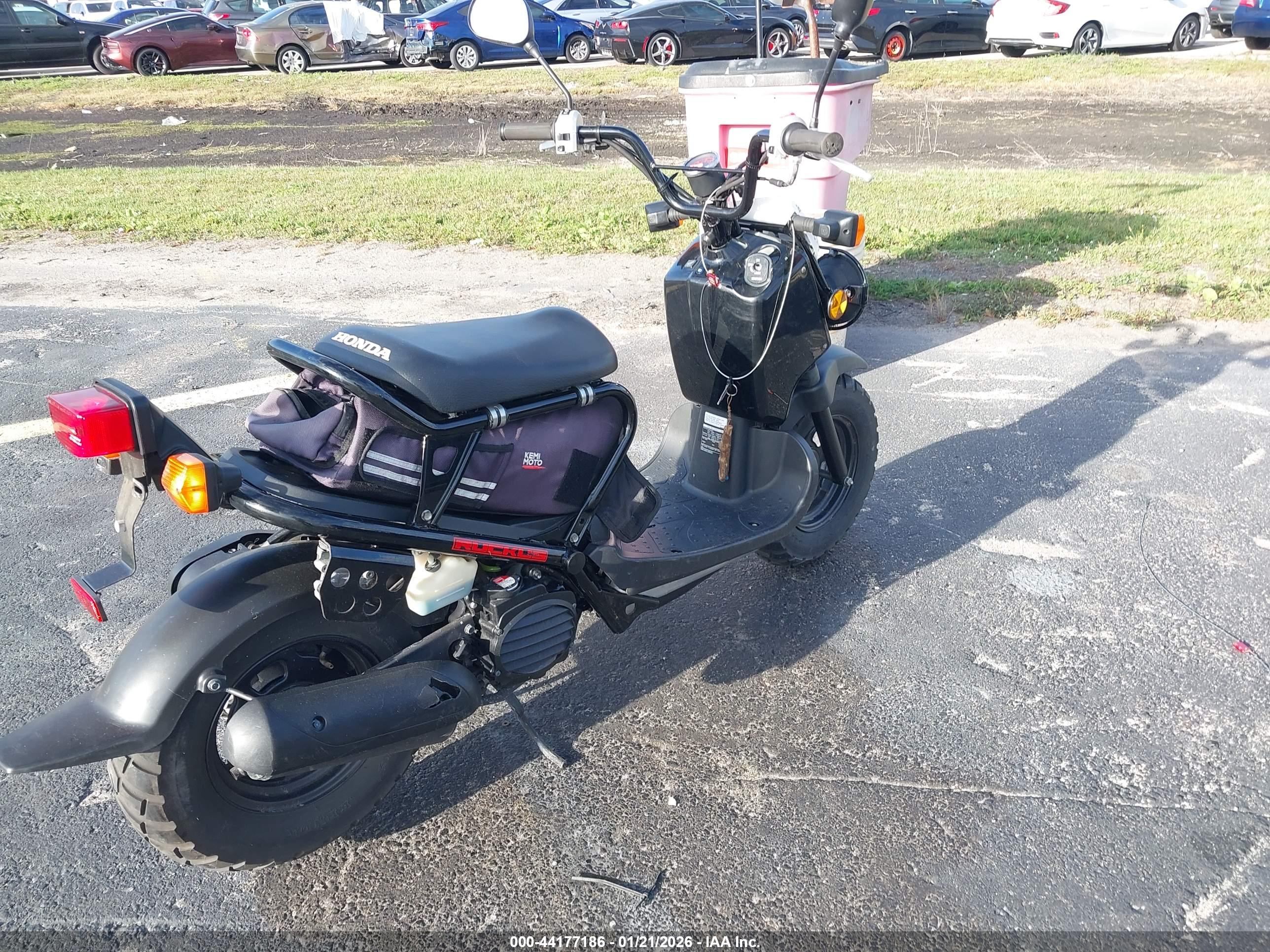 HONDA NPS50 image 4