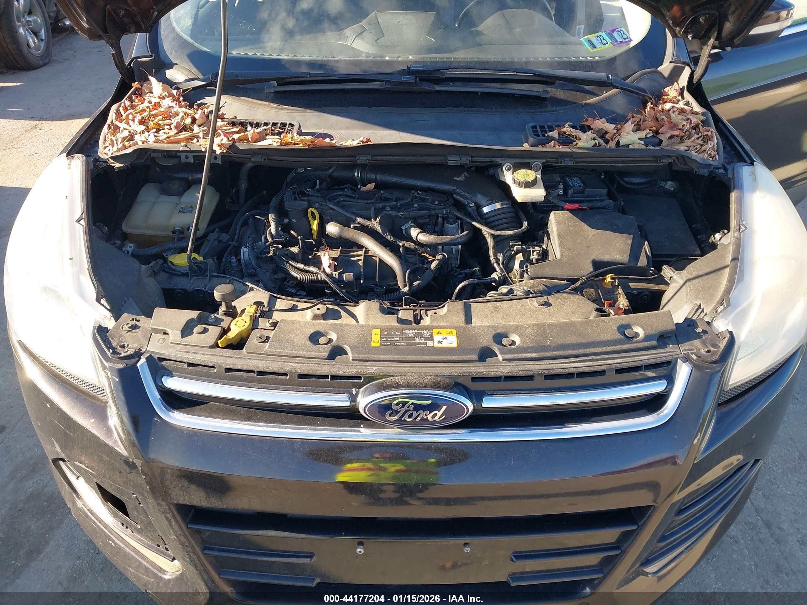FORD ESCAPE image 10