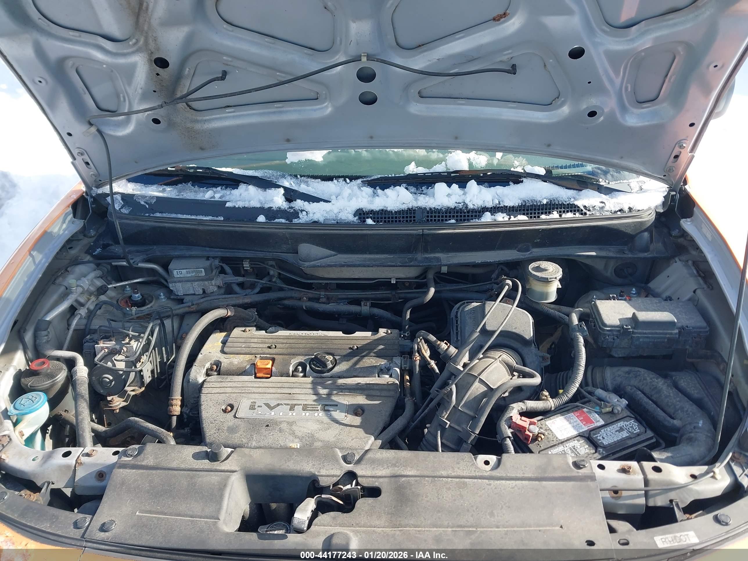HONDA ELEMENT image 10
